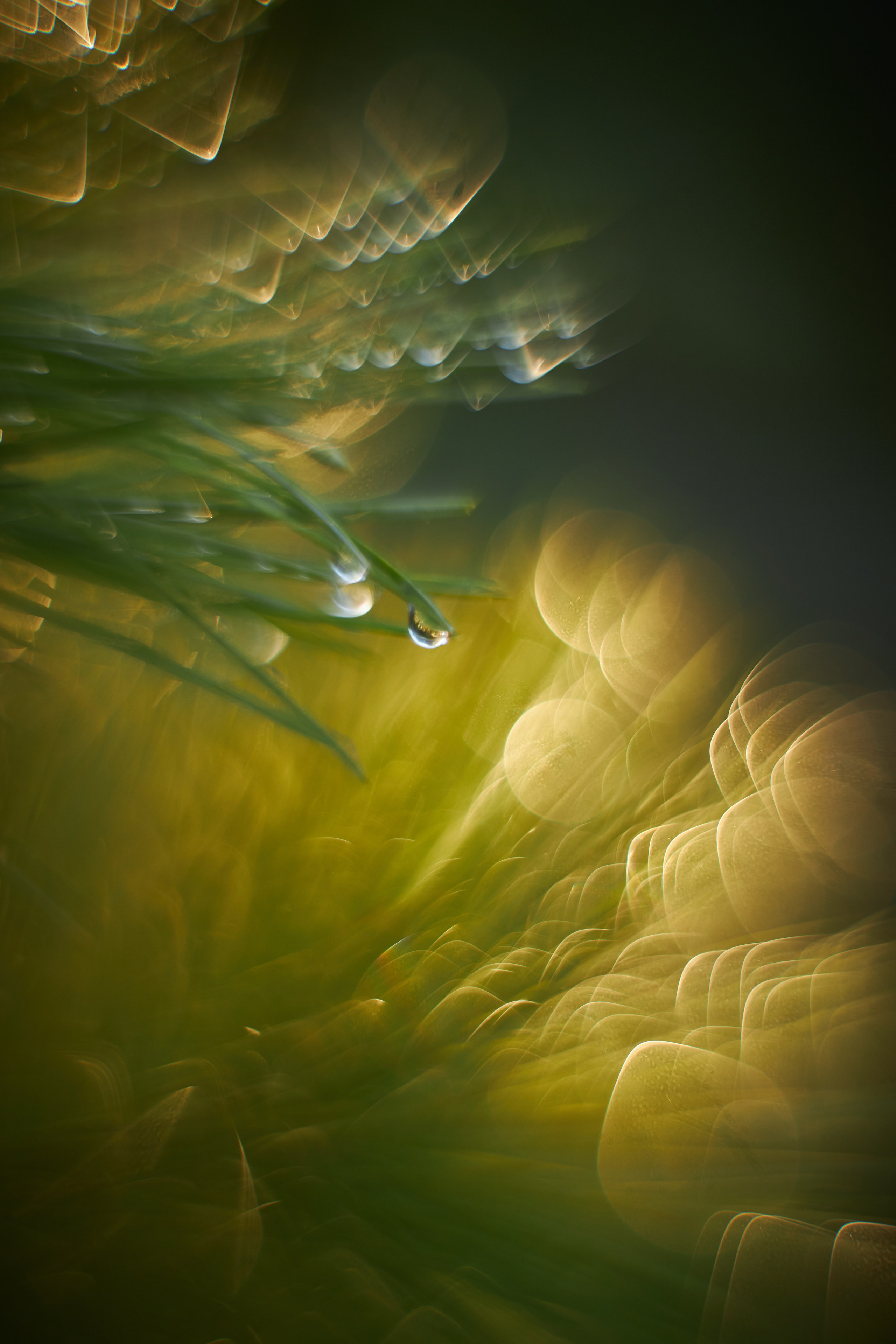 «Незримые Миры». Арт-фотограф во Владивостоке Дмитрий Осипчук