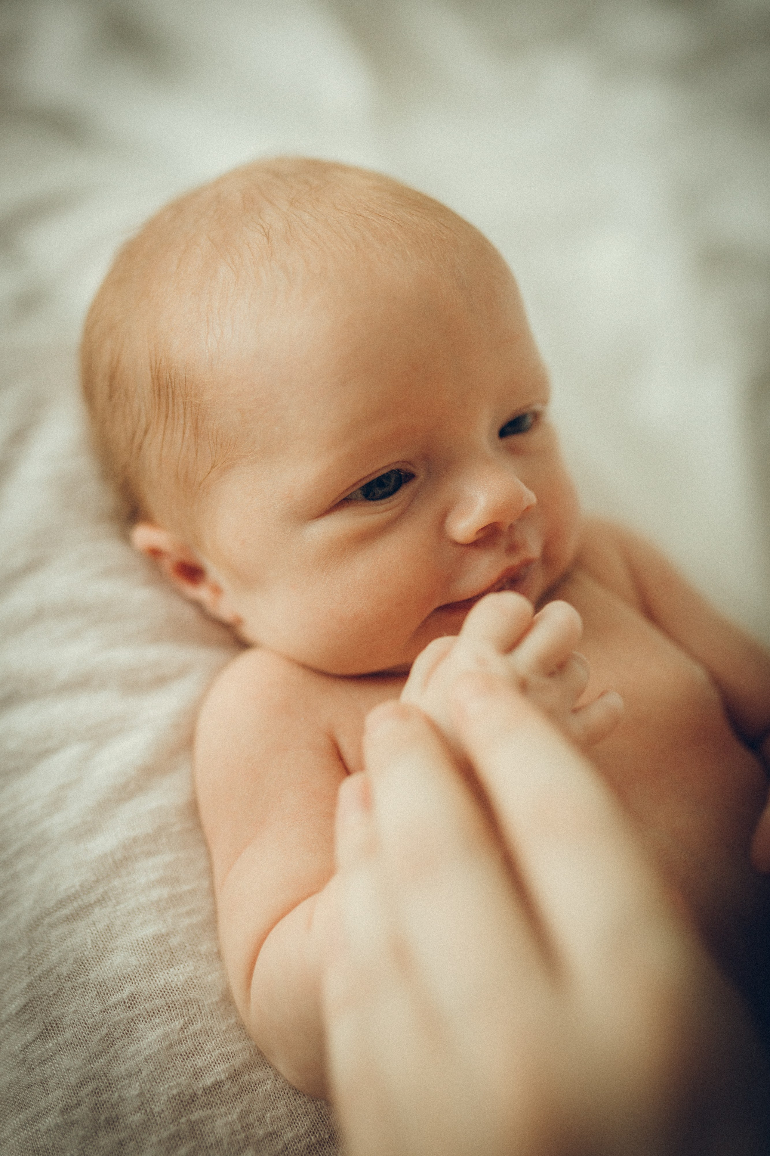 Вика, Леша и Алиса. Семейный фотограф и фотограф на роды в Ростове-на-Дону Мухина Виктория