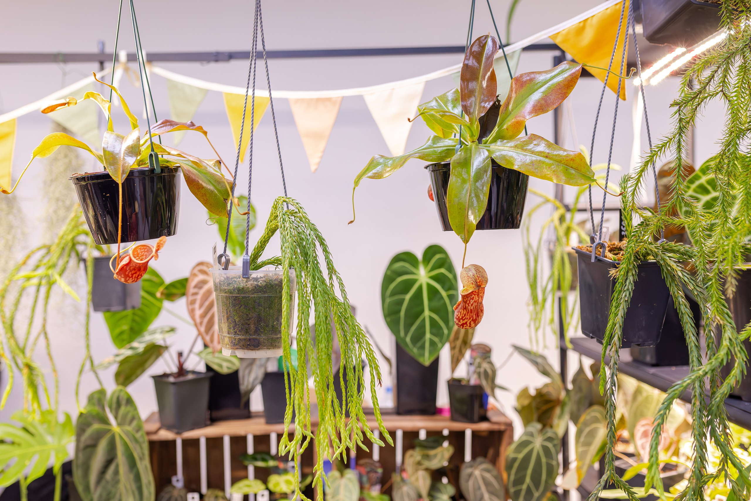 Монстериум апрель 2026. Александра Куликова фотограф, Москва