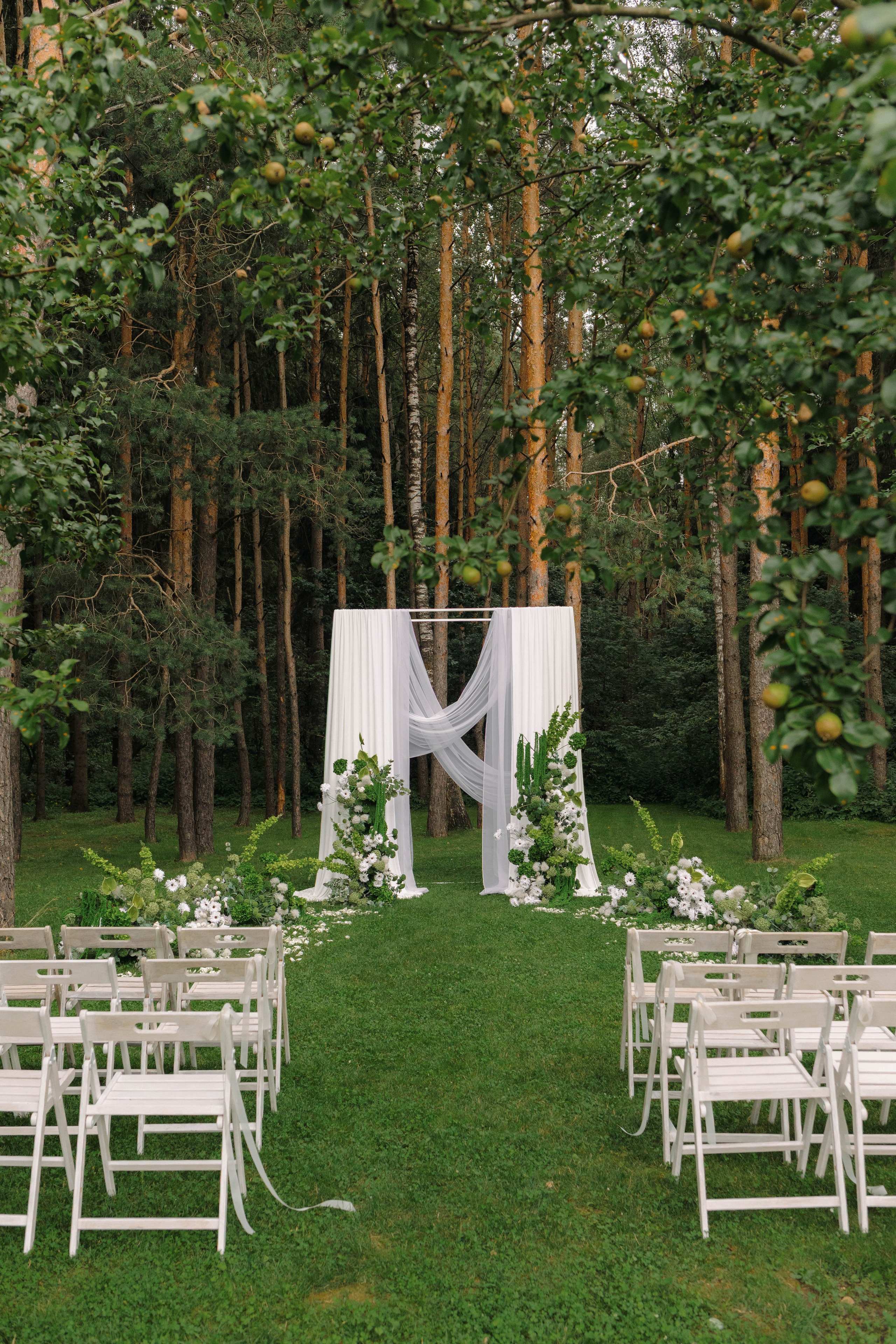 Зеленый сад