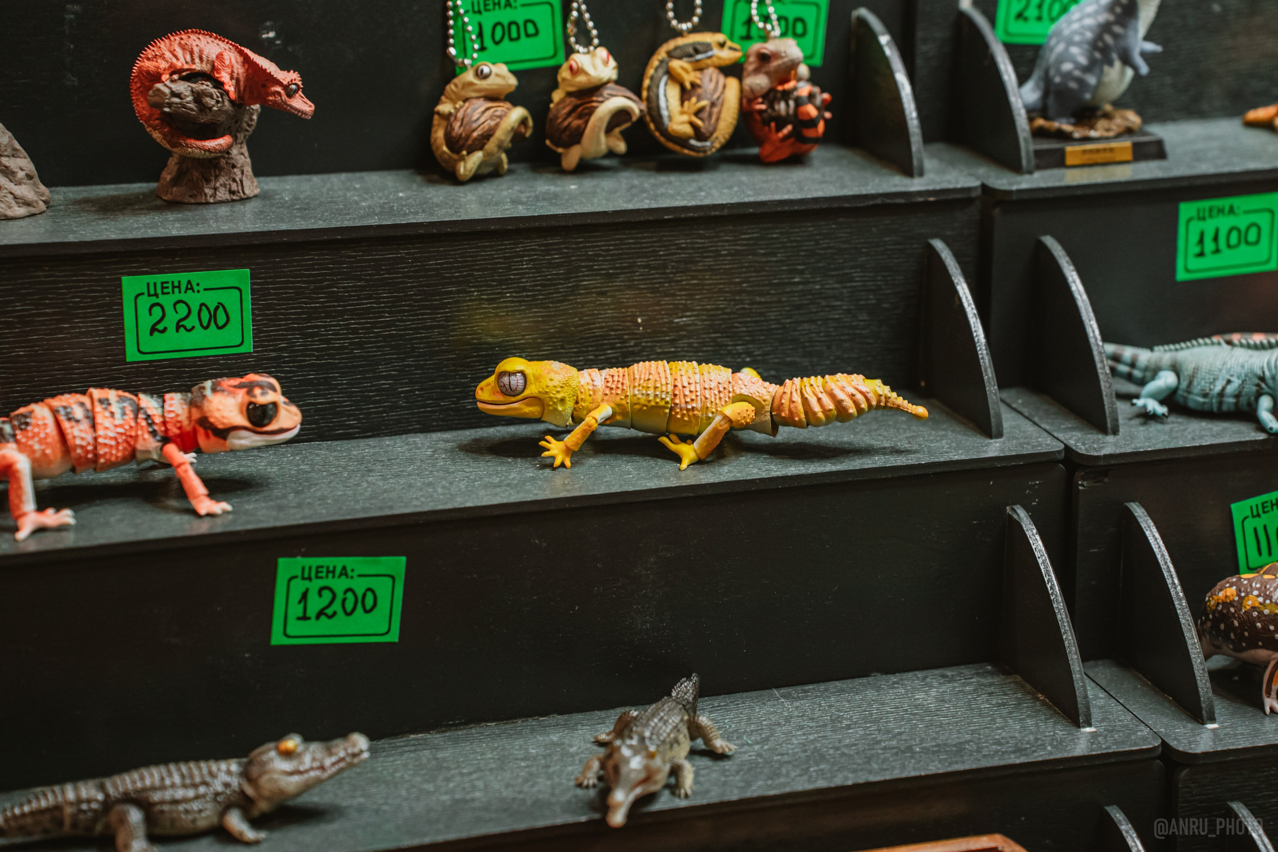 Рептилиум (ручная работа). Репортажный фотограф Анастасия Рубцова