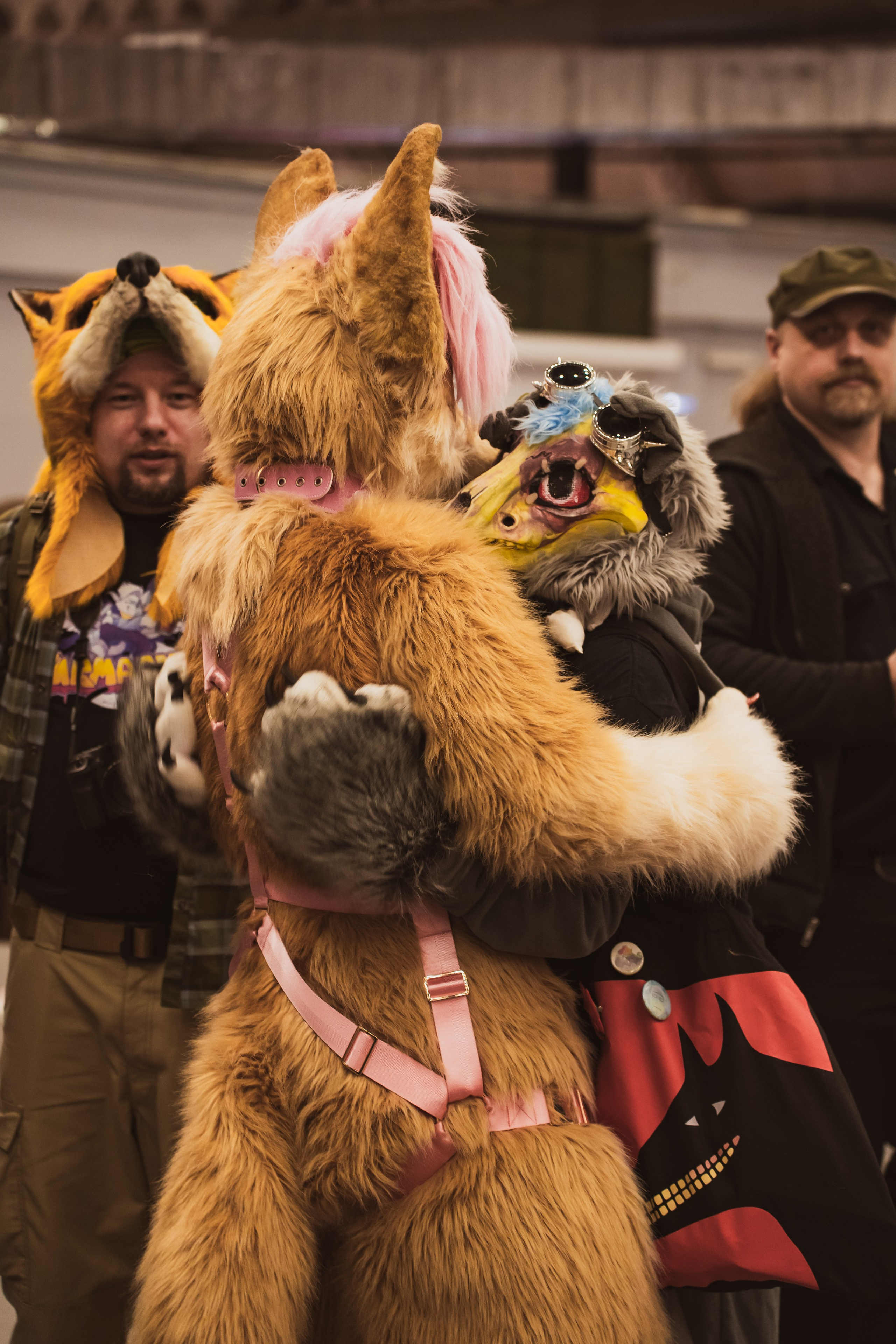 Fox Family fest. Репортажный фотограф Анастасия Рубцова