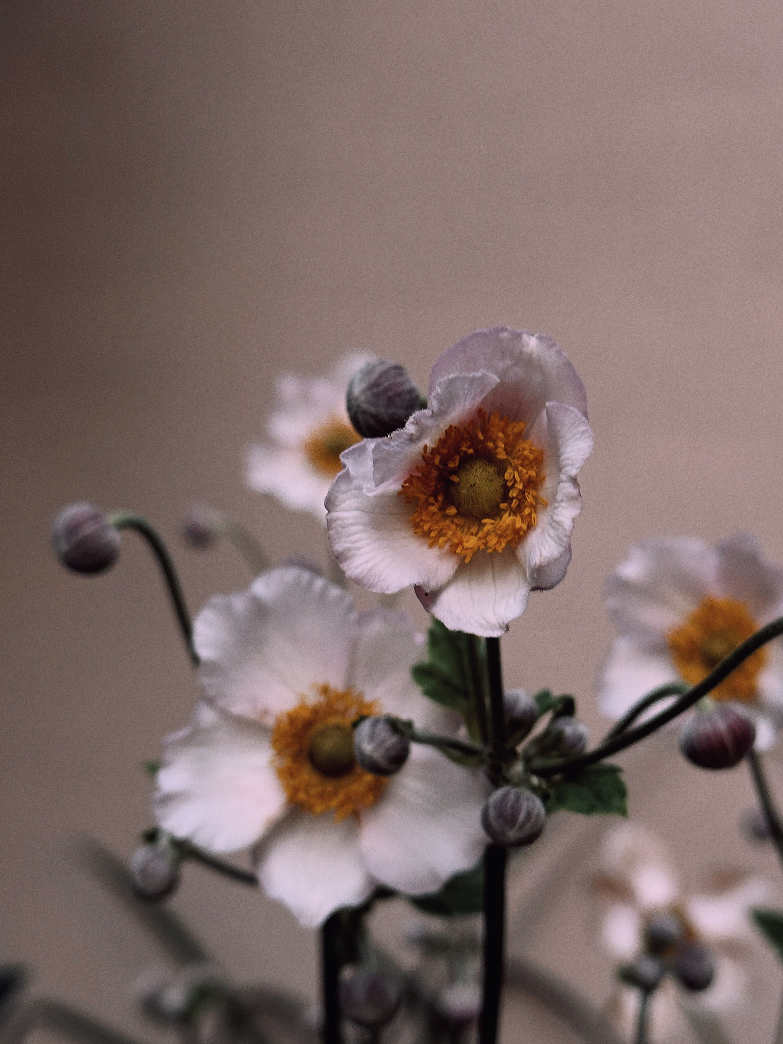 Флора и фауна. Смотри, красота!