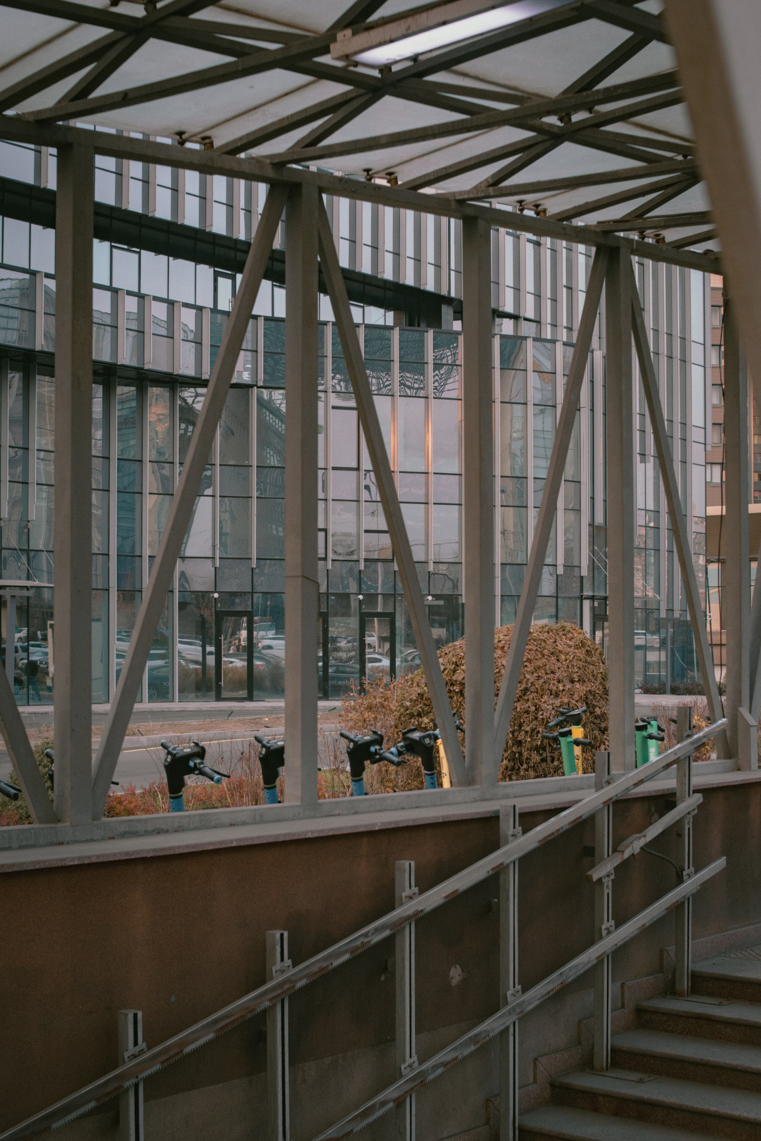 Визуальный дневник. Репортажный фотограф в Алматы Цой Сергей