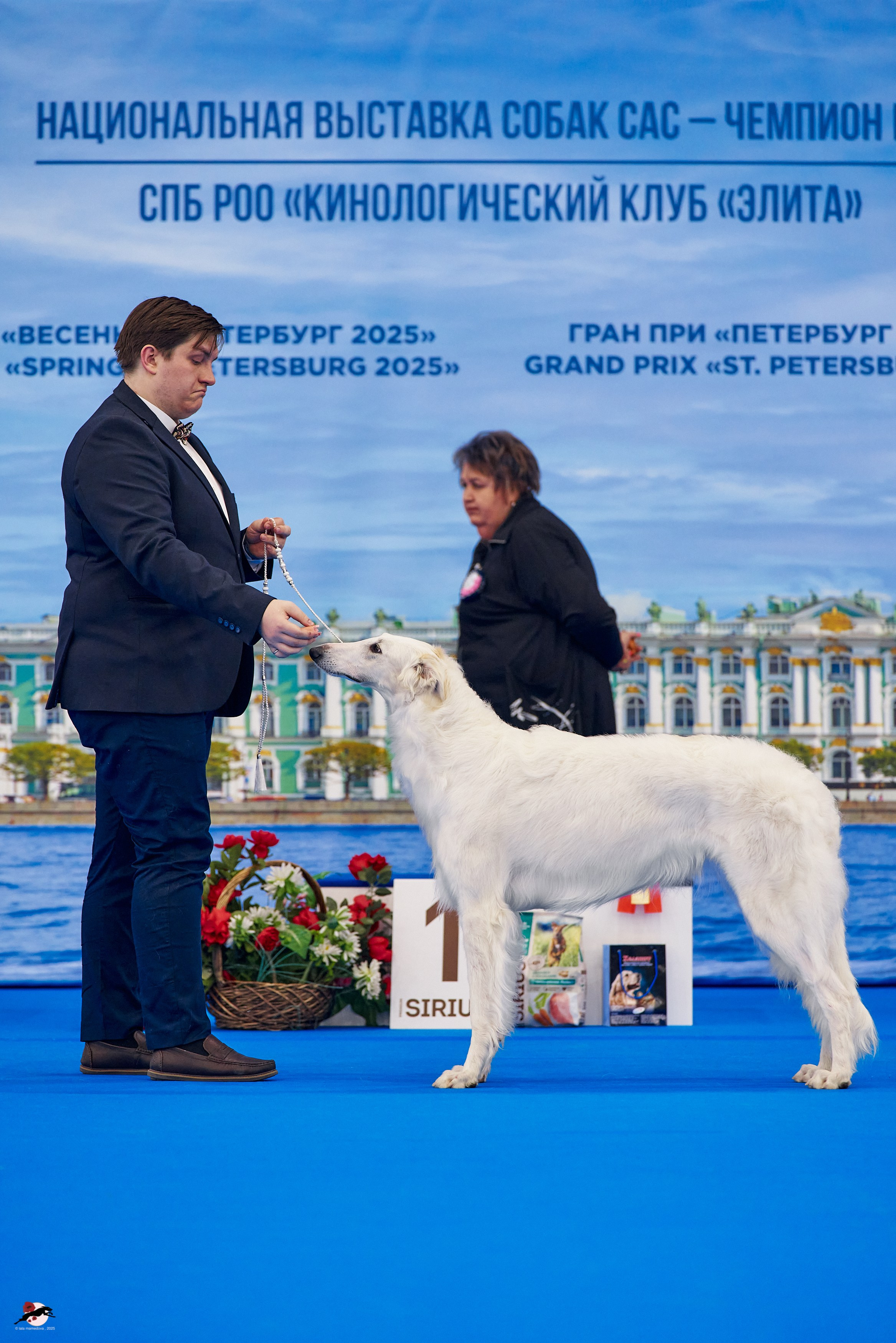 27.04.2025 | "Петербург-Элита 2025" & «КУБОК «ЭЛИТЫ»-2025»