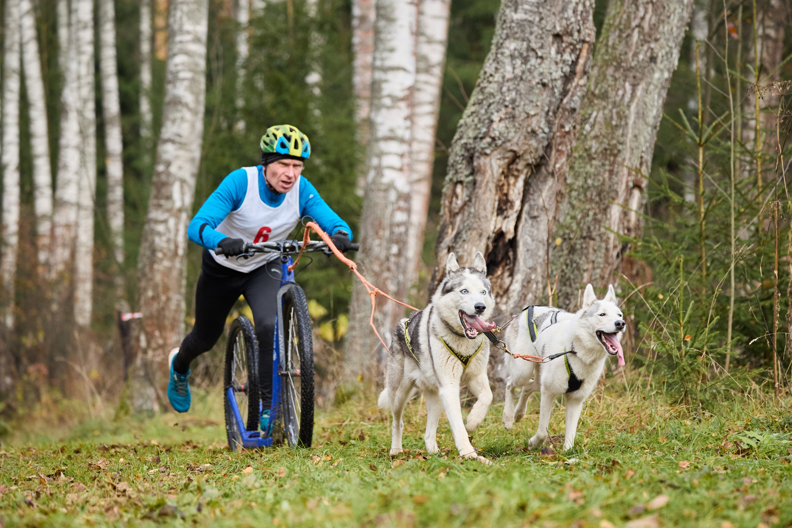 Чемпионат по ЕС Ярославской области. Фотограф Ирина Астор