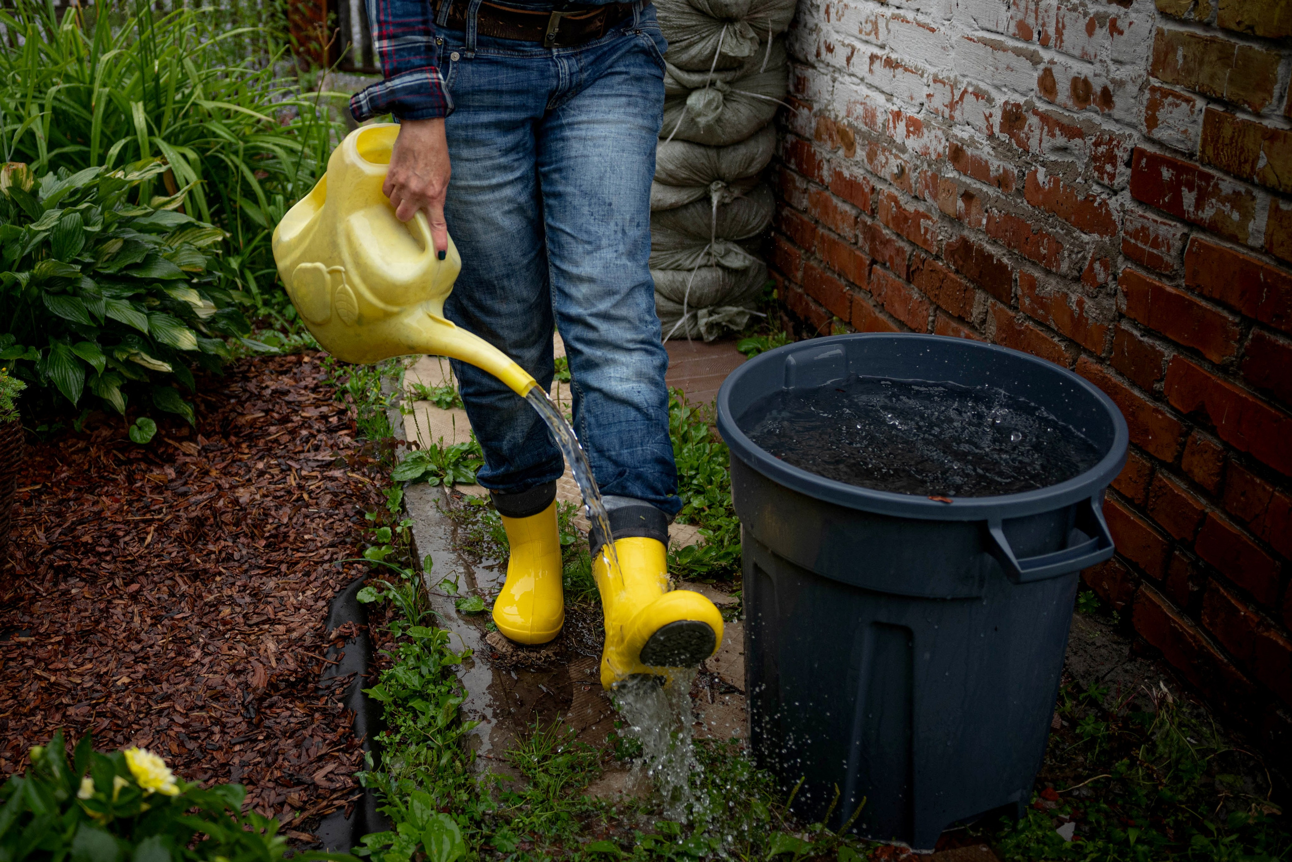 Лесное царство Оксаны. Свадебный и семейный фотограф в Новосибирске, Санкт-Петербурге, Москве