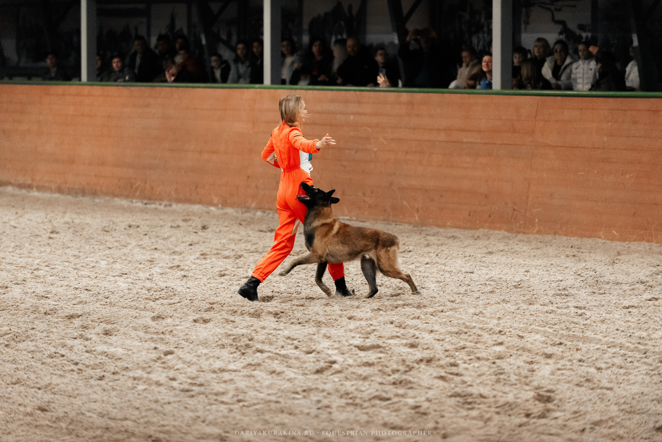 Конное представление «Дыхание Звёзд». Конный фотограф Куракина Дарья • Фотосессии с лошадьми
