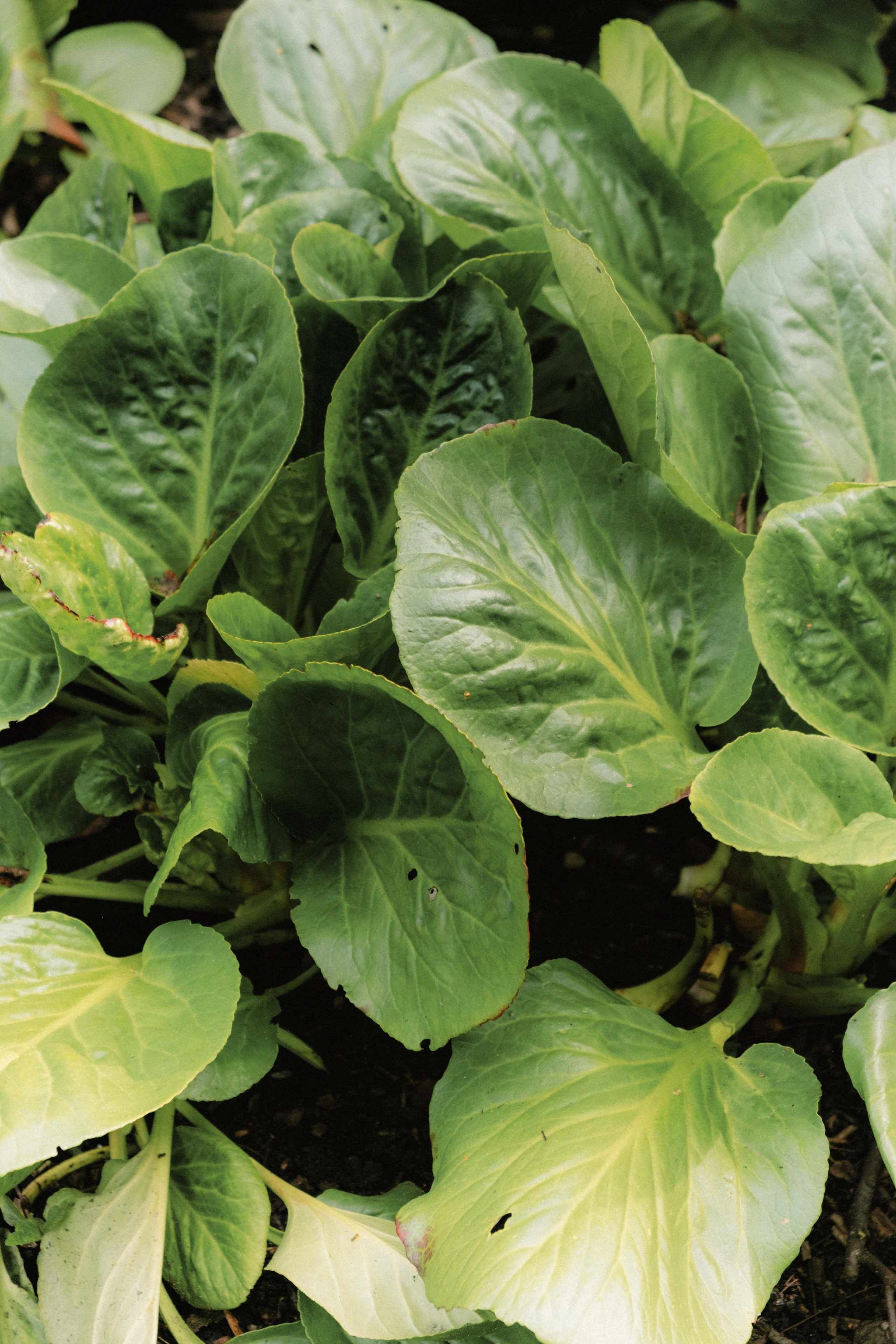 Замечательная повседневность. Контент-фотограф и видеограф в Перми