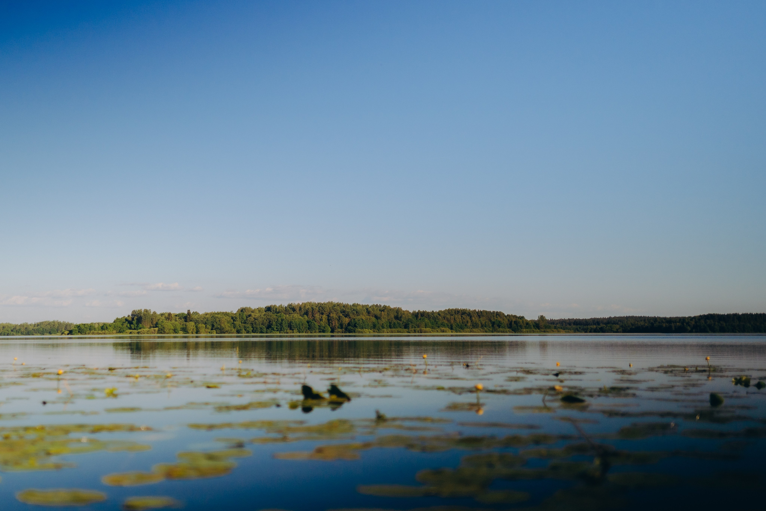 Глемпинг Шалаш. Фотограф Торопец Кристина Абрамова Kanwellia photography