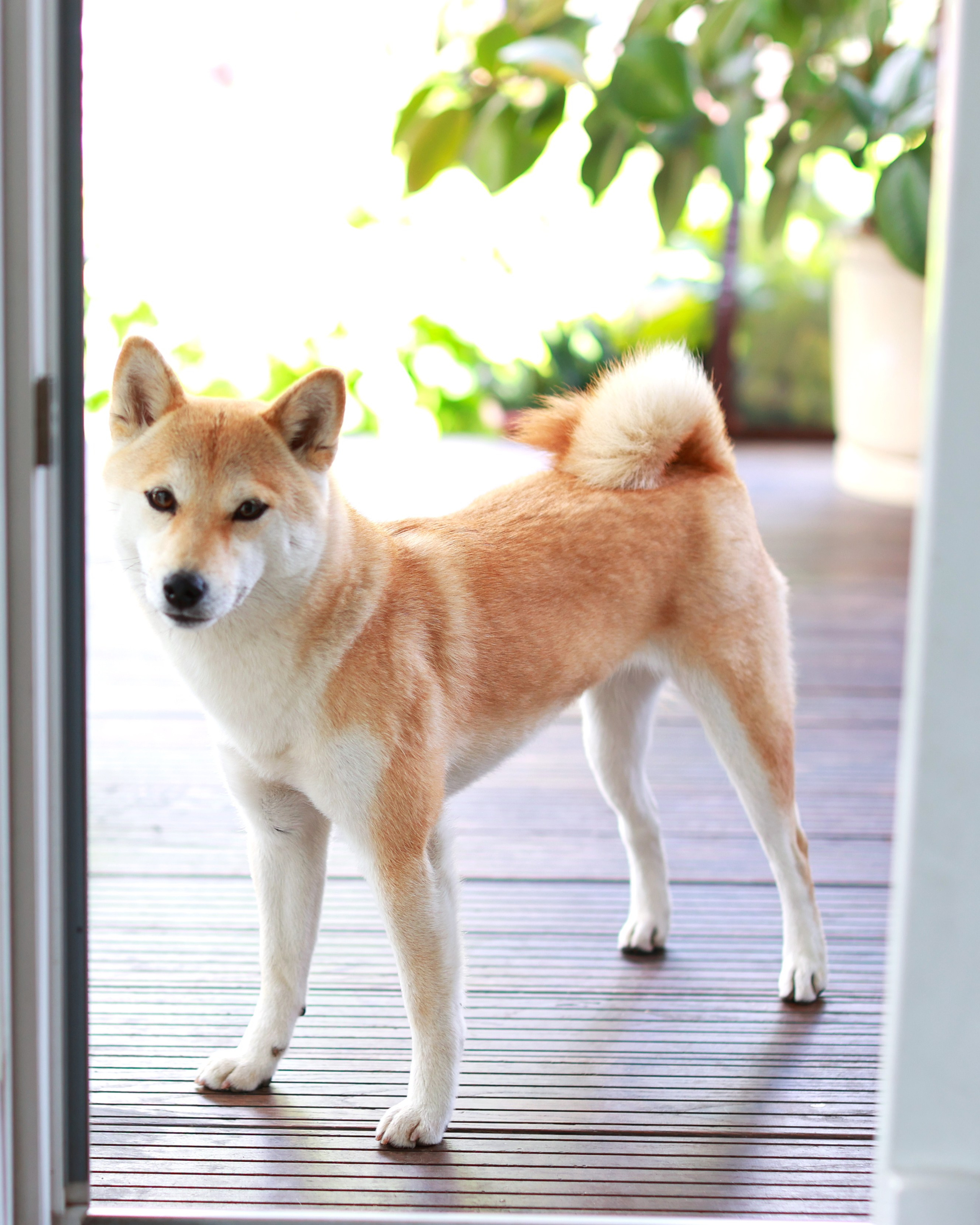 Семейная съемка Натальи. Семейный и детский фотограф в Москве Юлия
