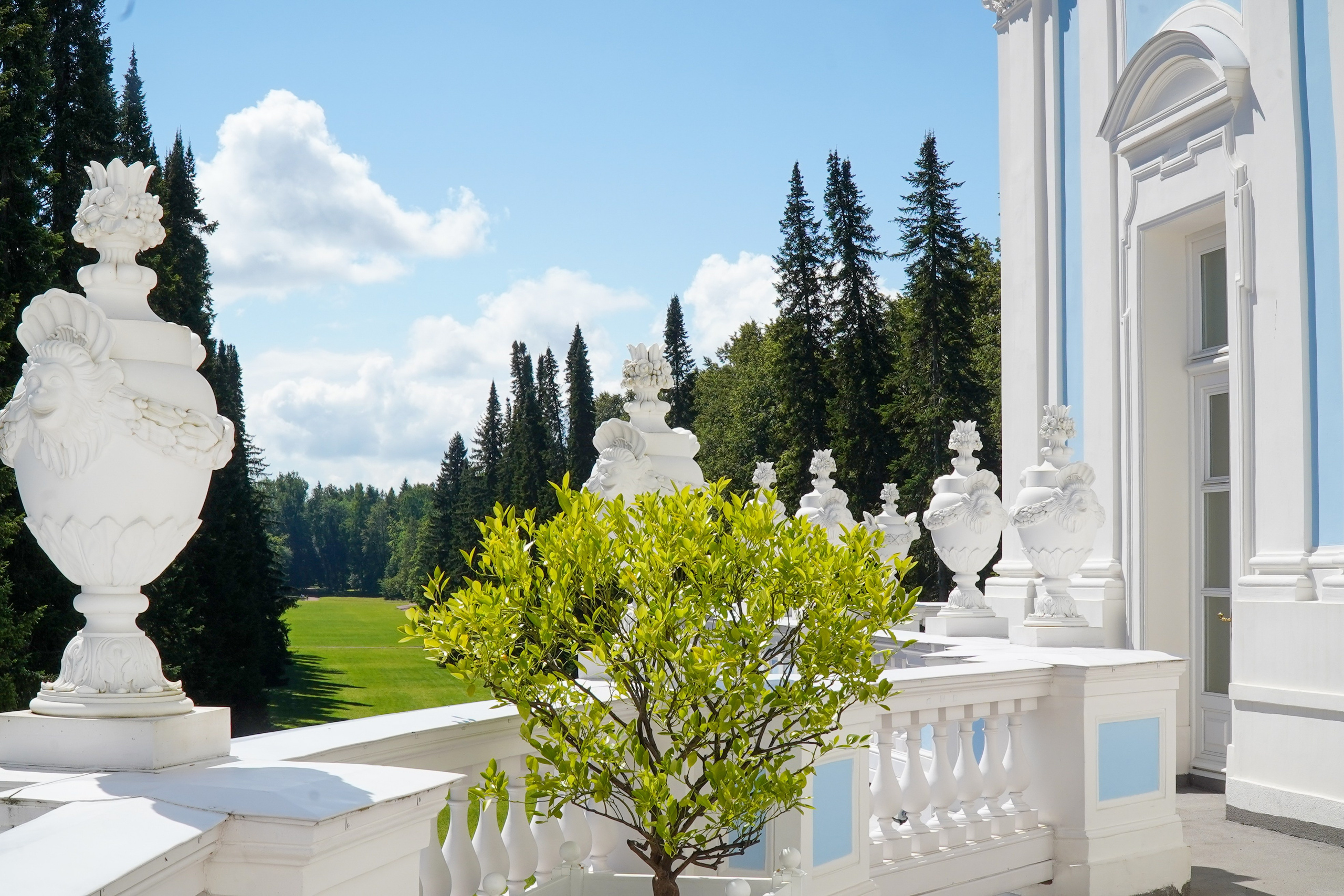 ОРАНИЕНБАУМ. Июль 2024. Фотограф Наталья Погодина в г. Обнинске