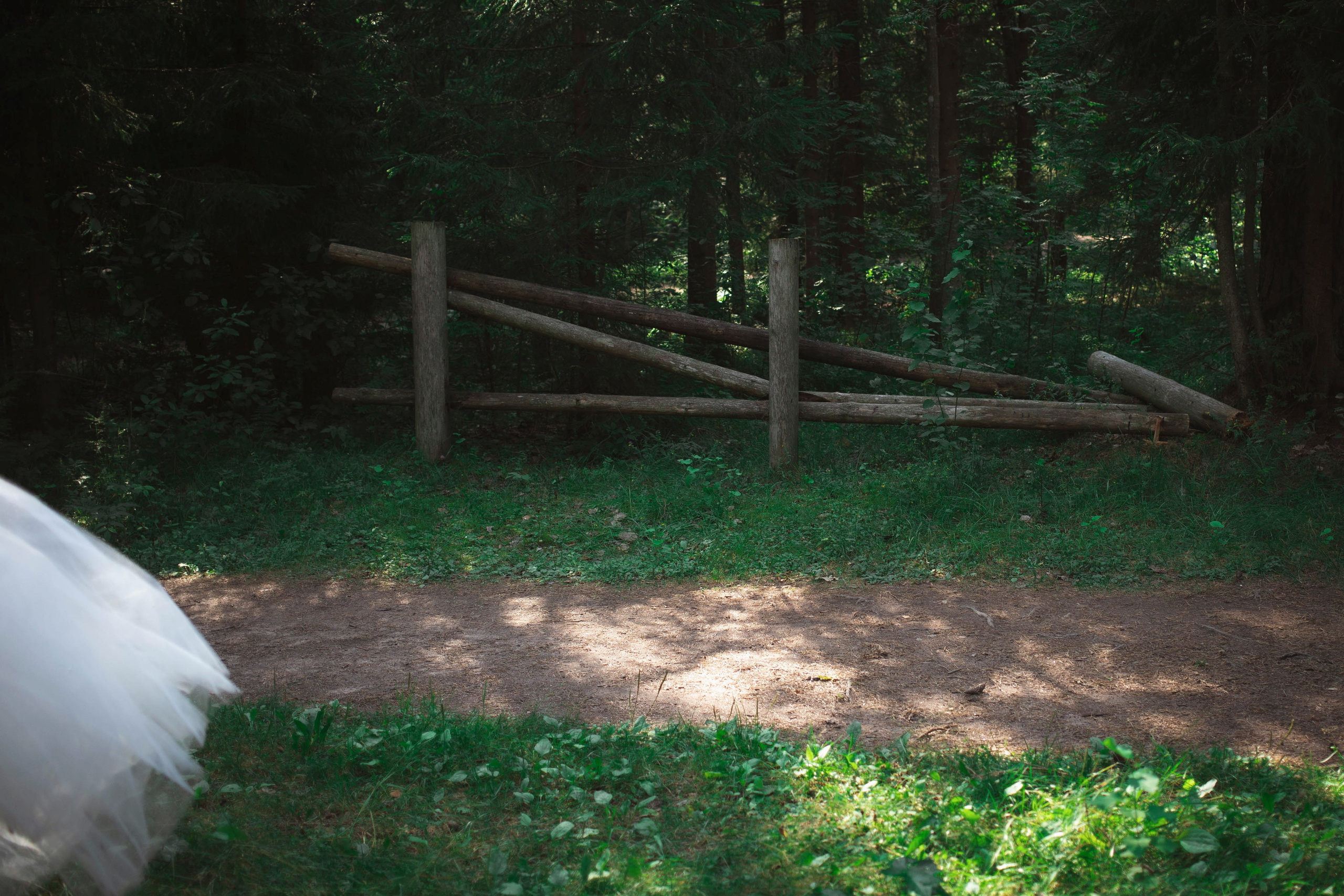 Вторая жизнь свадебного платья: фотосессия на озере под Санкт-Петербургом. Портретные фотосессии, контент-съемки, репортаж