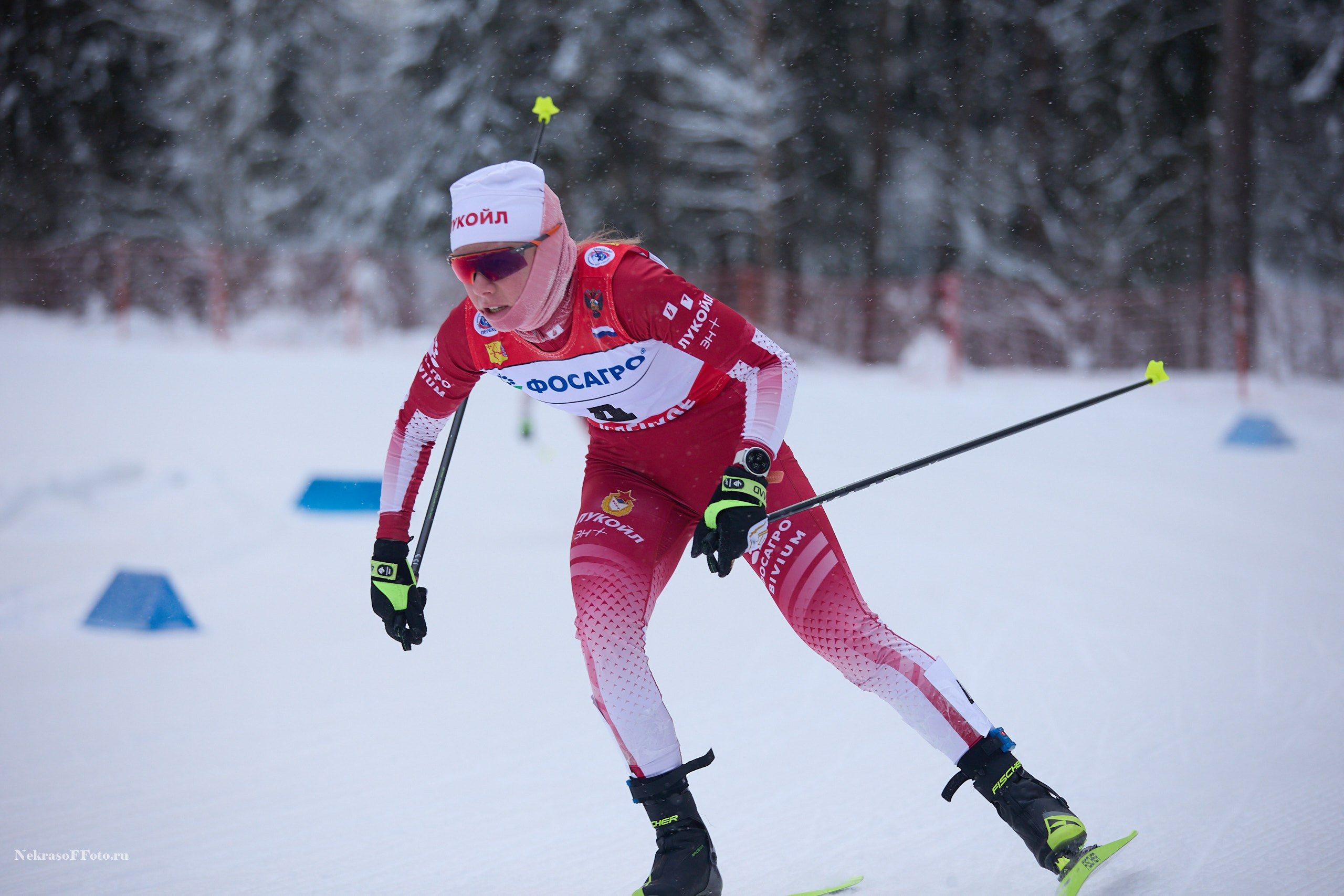 Кубок России по Лыжным гонкам. Спортивный фотограф Некрасов Денис