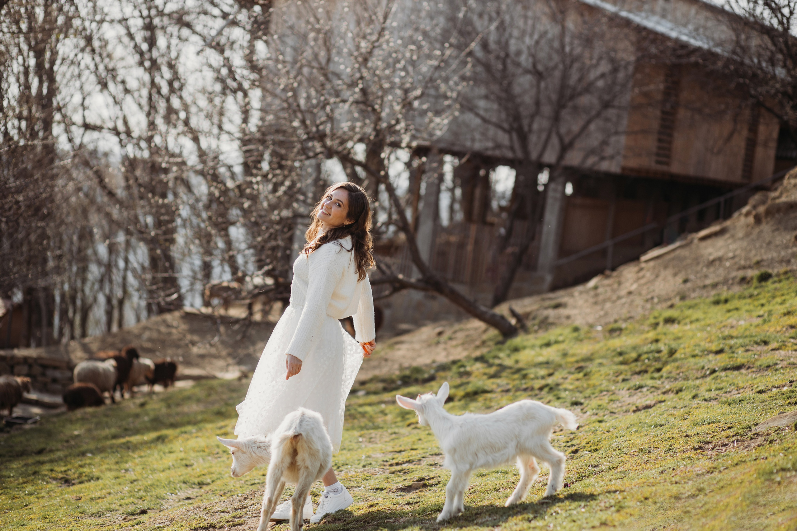 Ферма Экзархо. Фотограф Сочи Татьяна Зорина