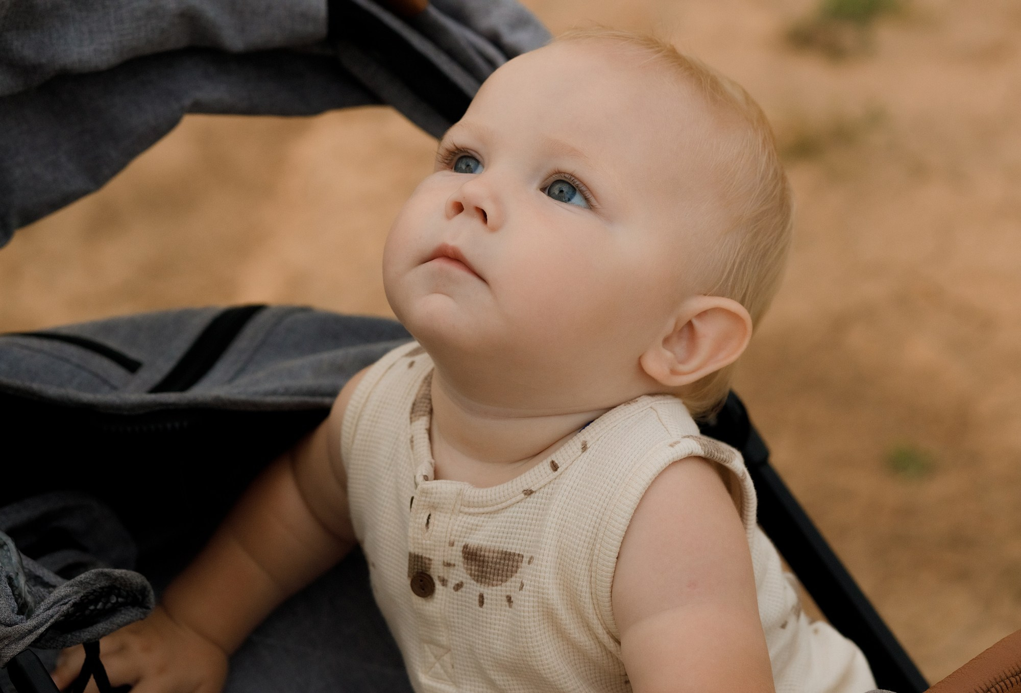 Гордеевы. Главная