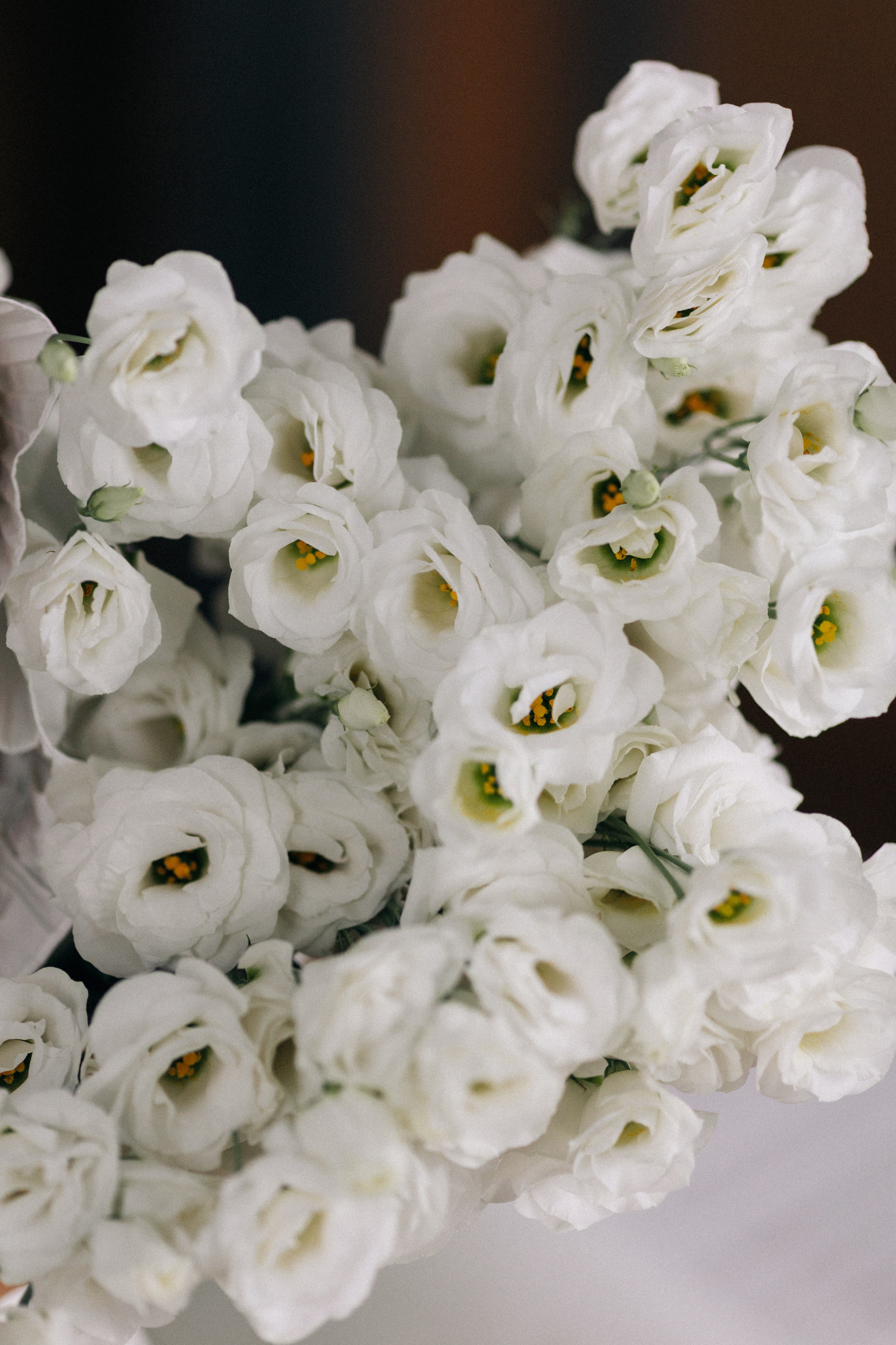 Павел и Нина. Свадебный фотограф в Краснодаре