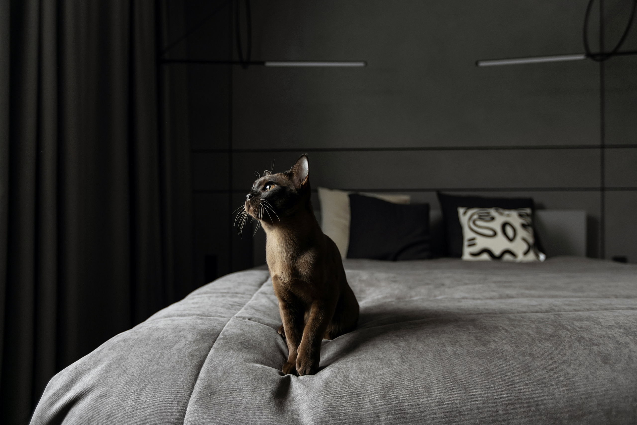 MELNICHNAYA. Свадебный фотограф Екатерина Худякова — Ярославль, Санкт-Петербург, Москва