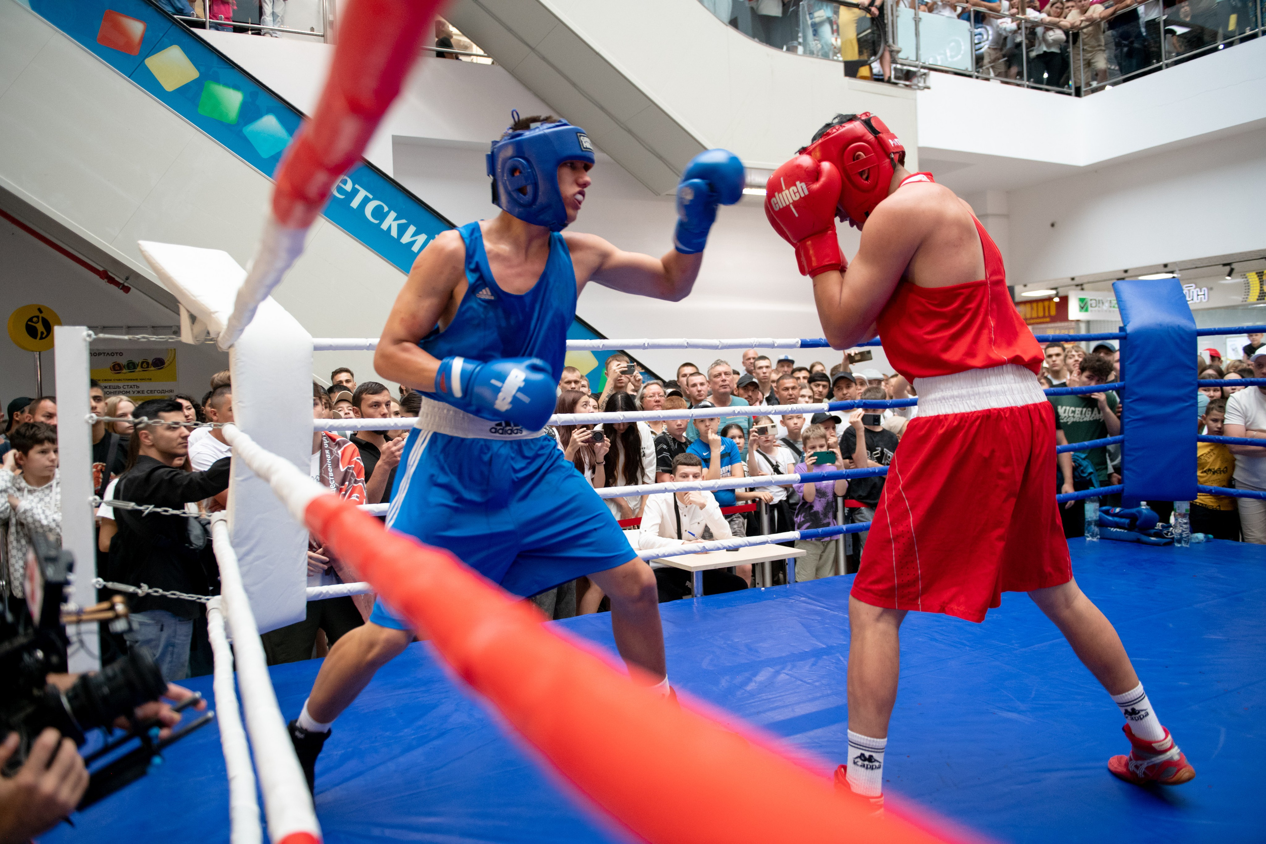 Турнир по боевым искусствам в ТЦ «Сити Молл». Репортажный фотограф в Стерлитамаке Дмитрий Соколов