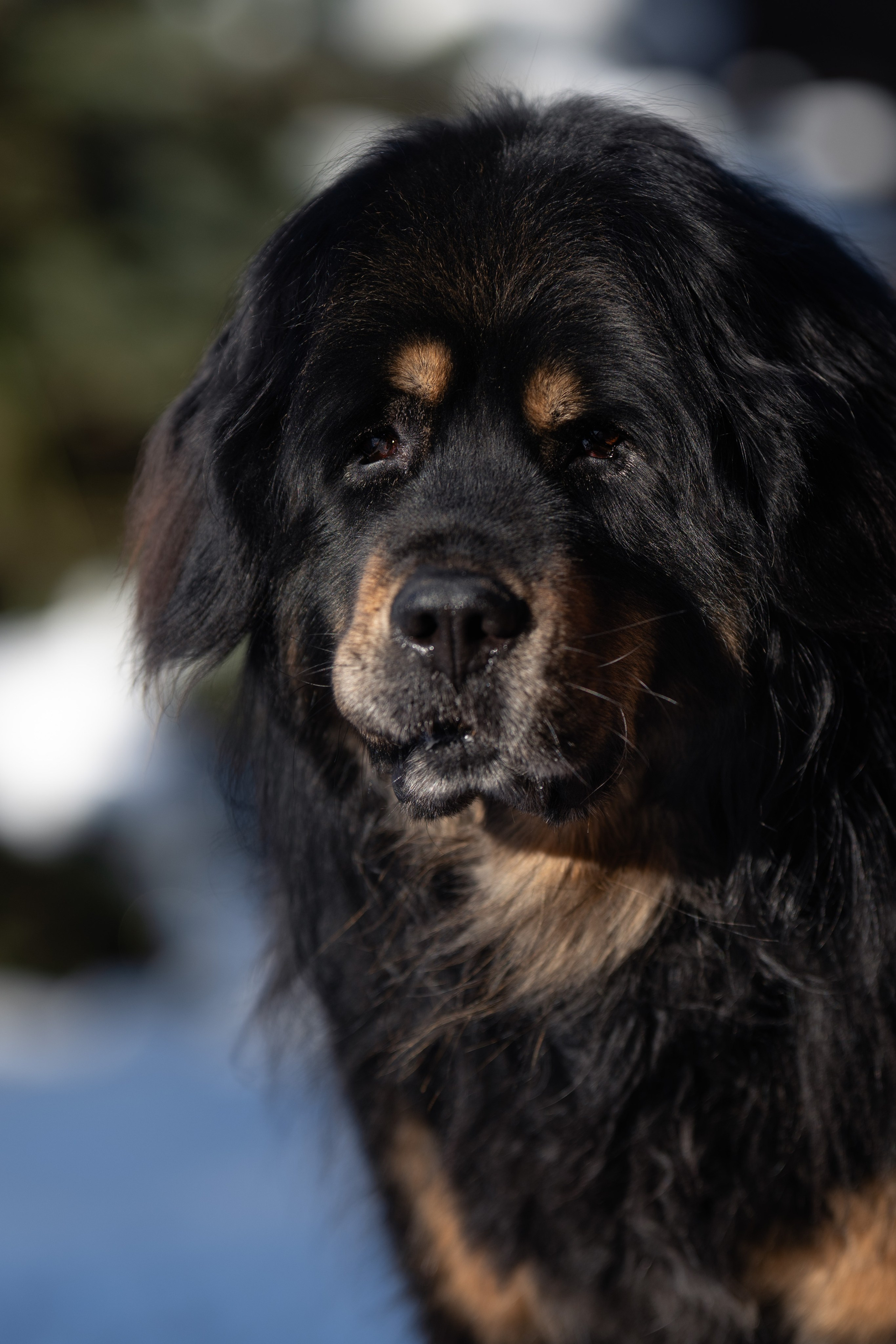 Первый снег 16 ноября 2025. -