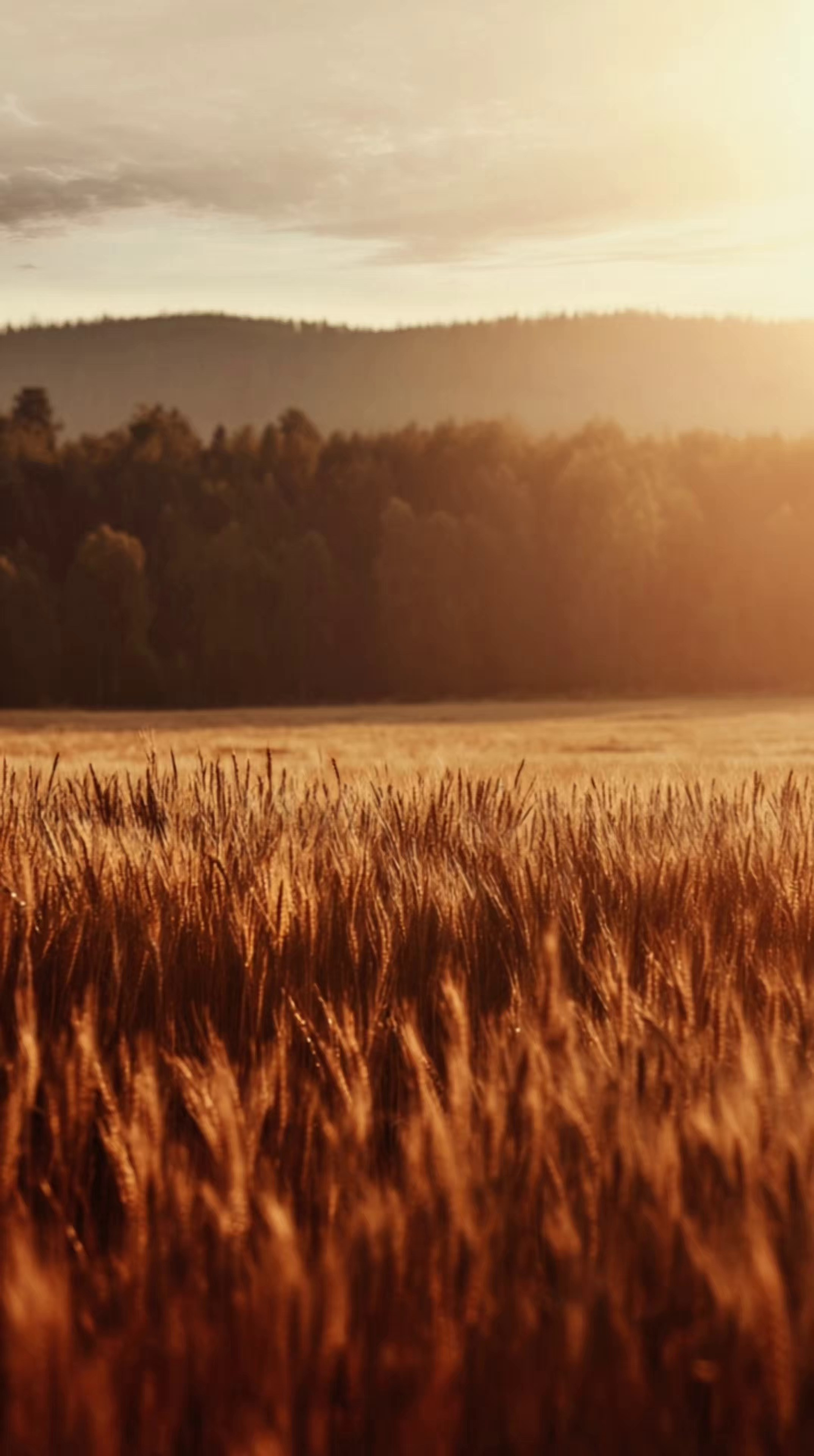 AI CONTENT. Мобильный фотограф Тонечка Власова