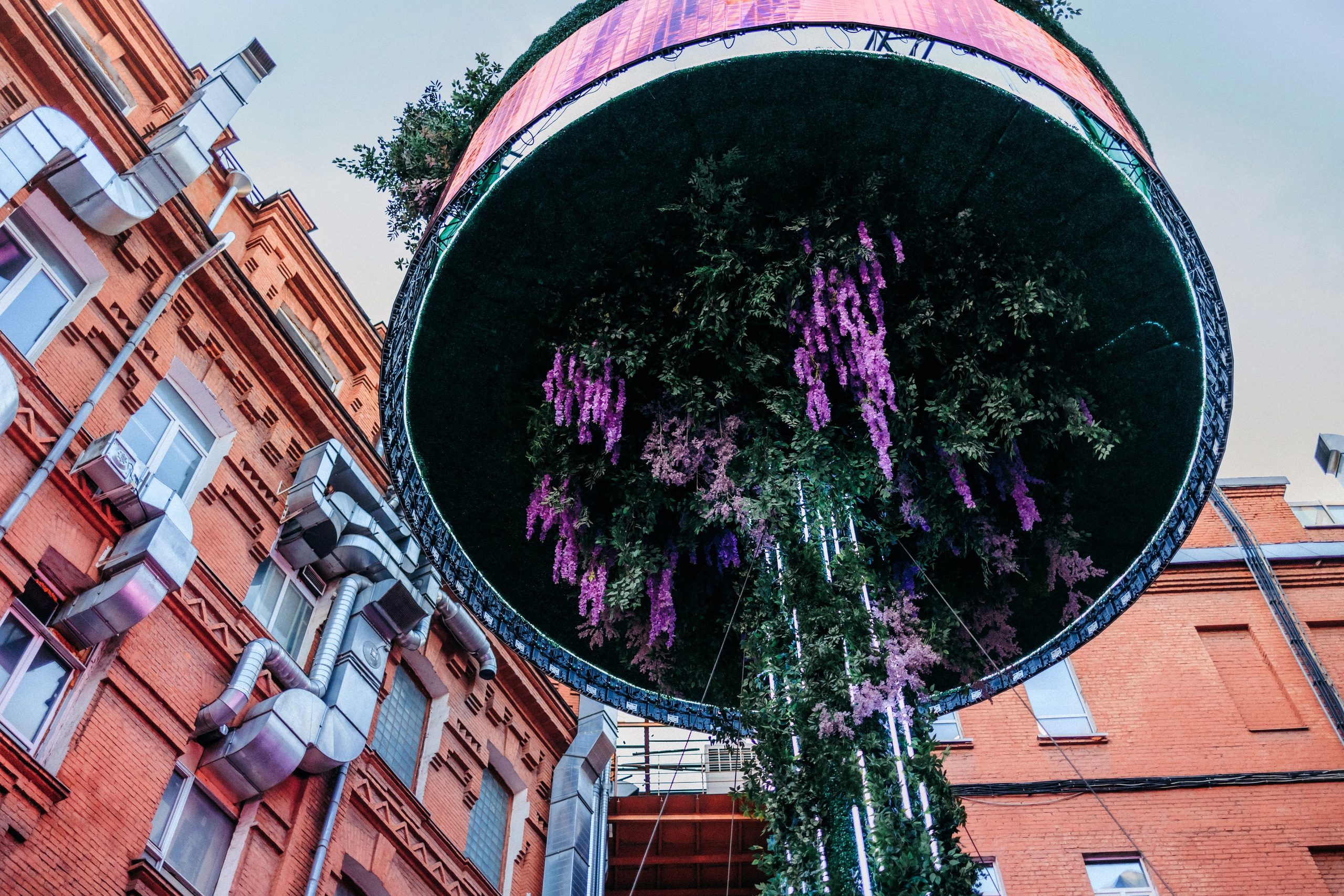 Соня и Майли. Фотограф-анималист Елена Радченко, Москва