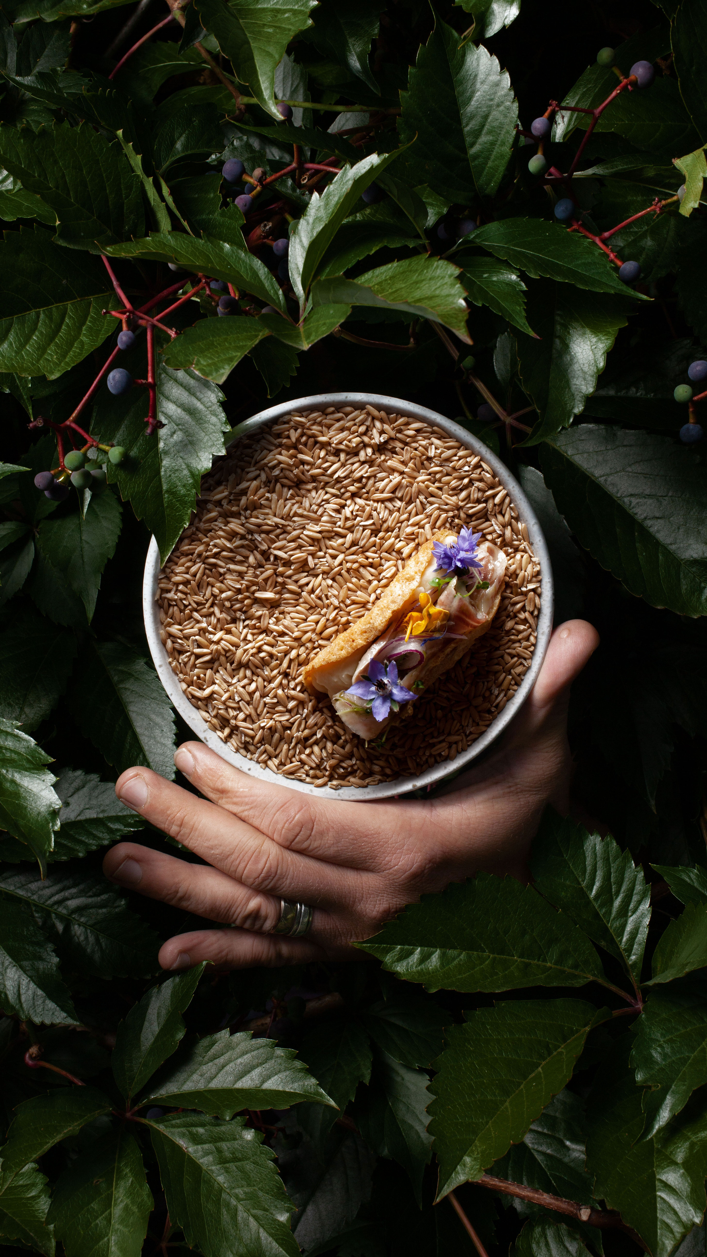 ПОРТФОЛИО. Главная