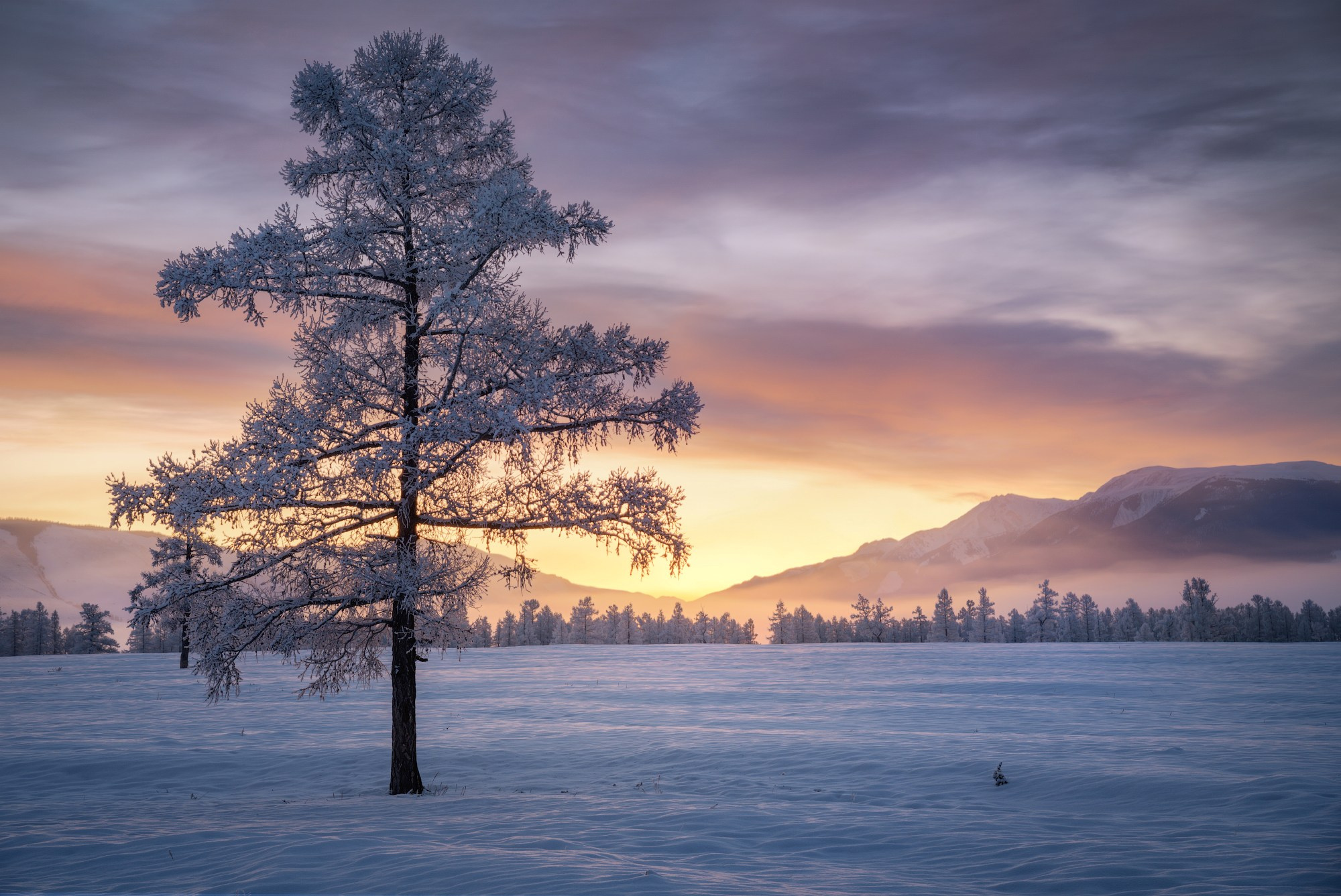 За полчаса до рассвета. Кош-Агачский район, ноябрь 2024