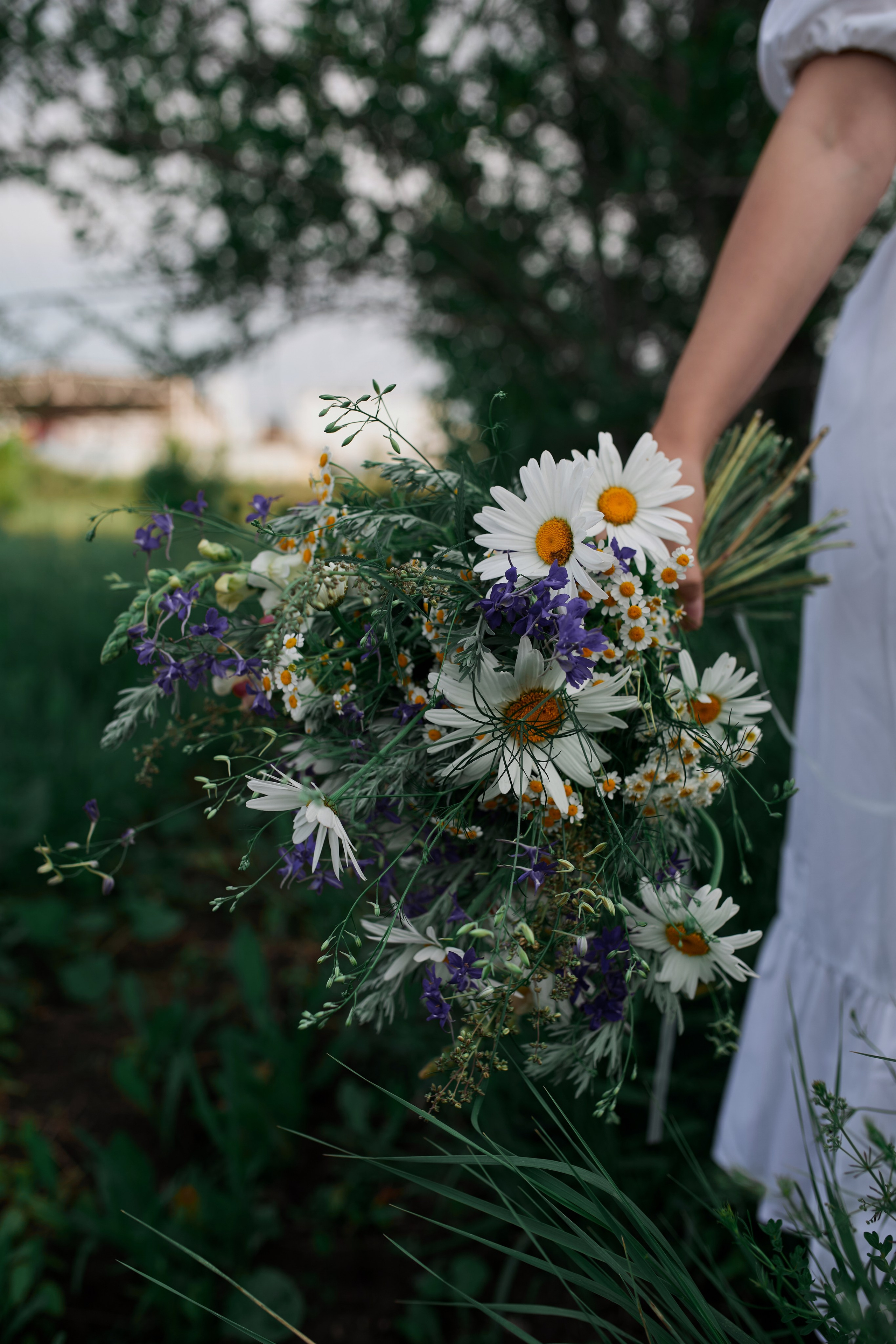 Elfs. Антонина Талах фотограф в Москве