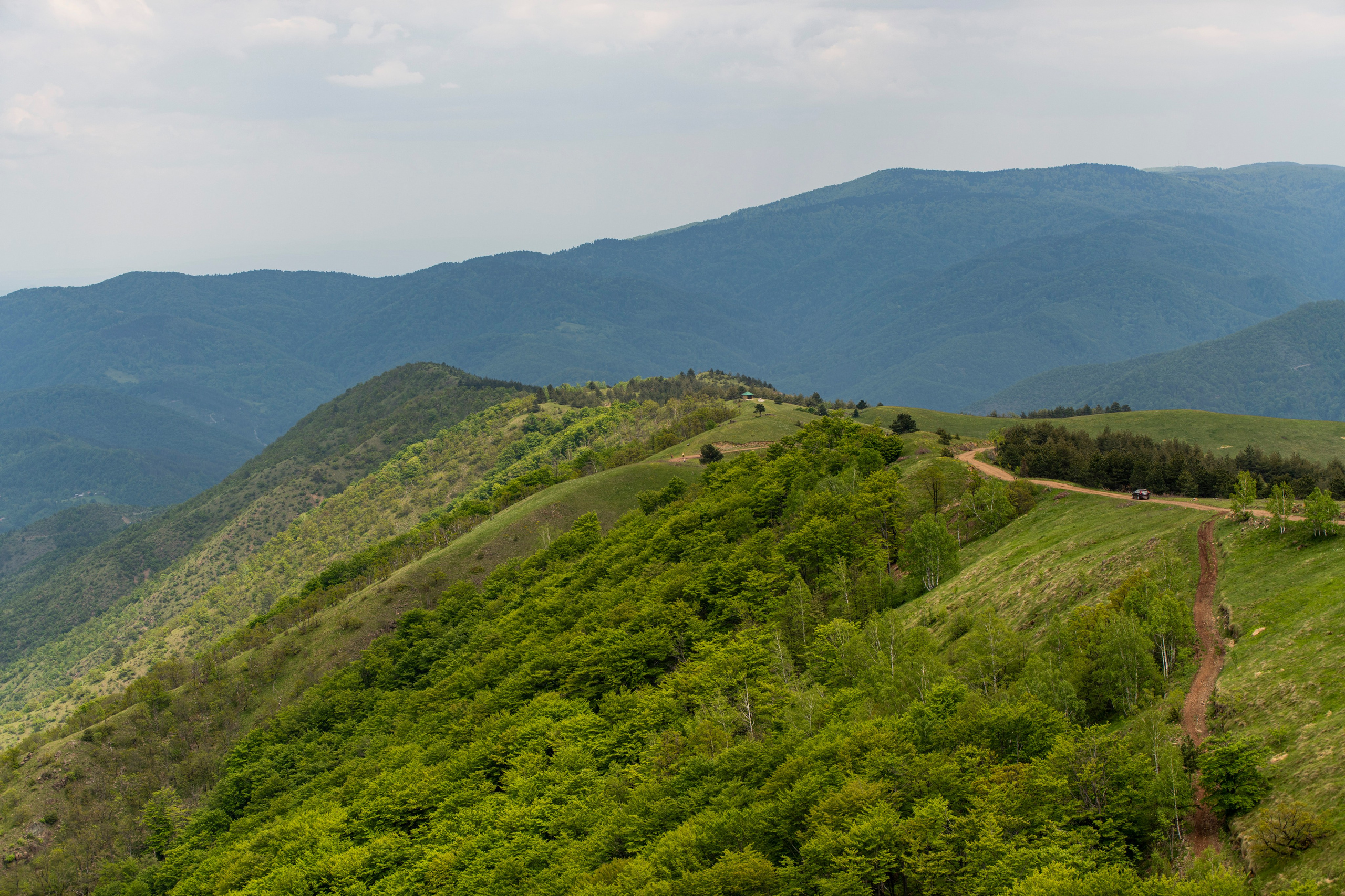 Столови. Сербия. Фотограф в Москве. Шахабудин