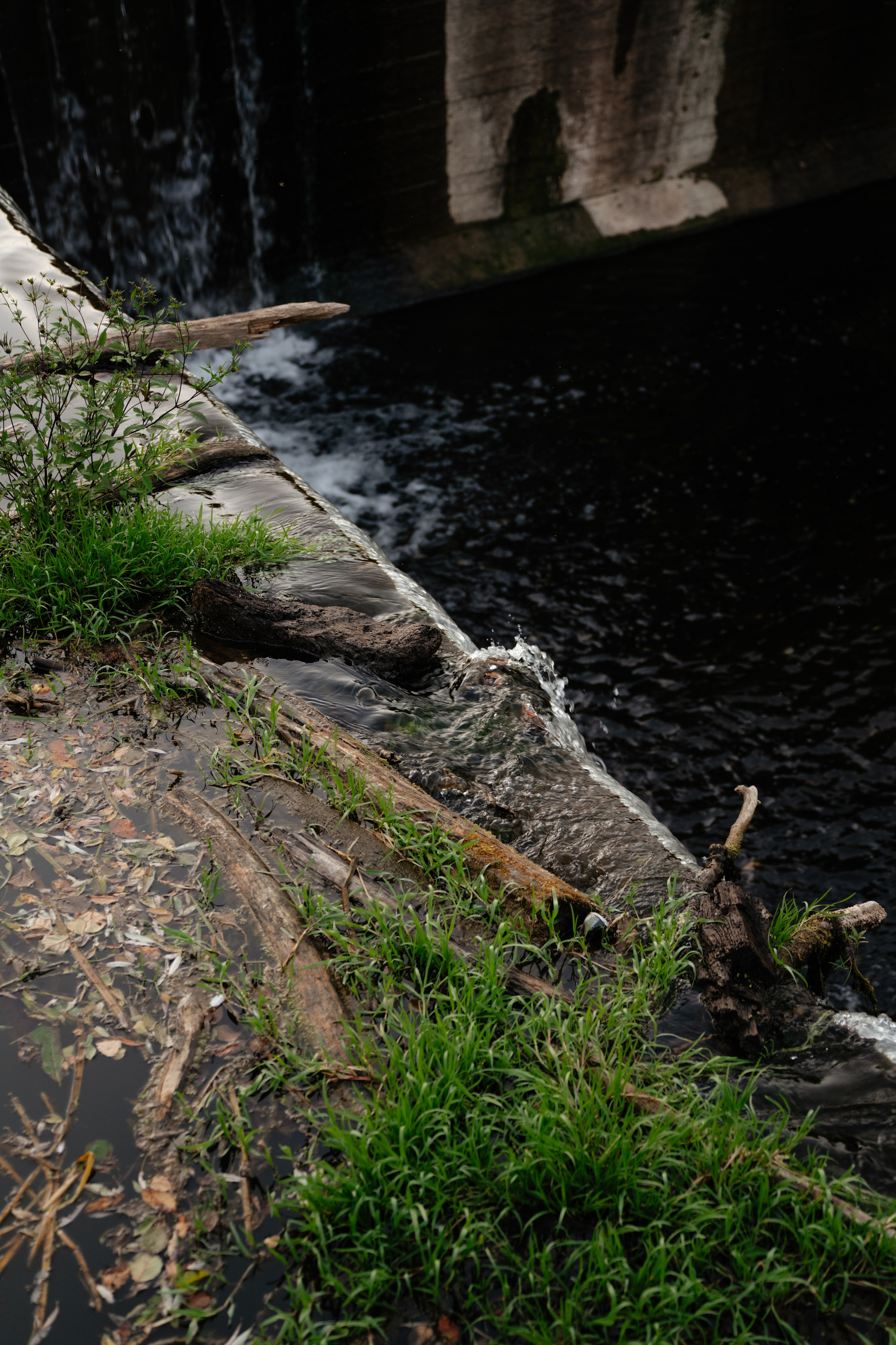 Дугна. Vlad Trykov