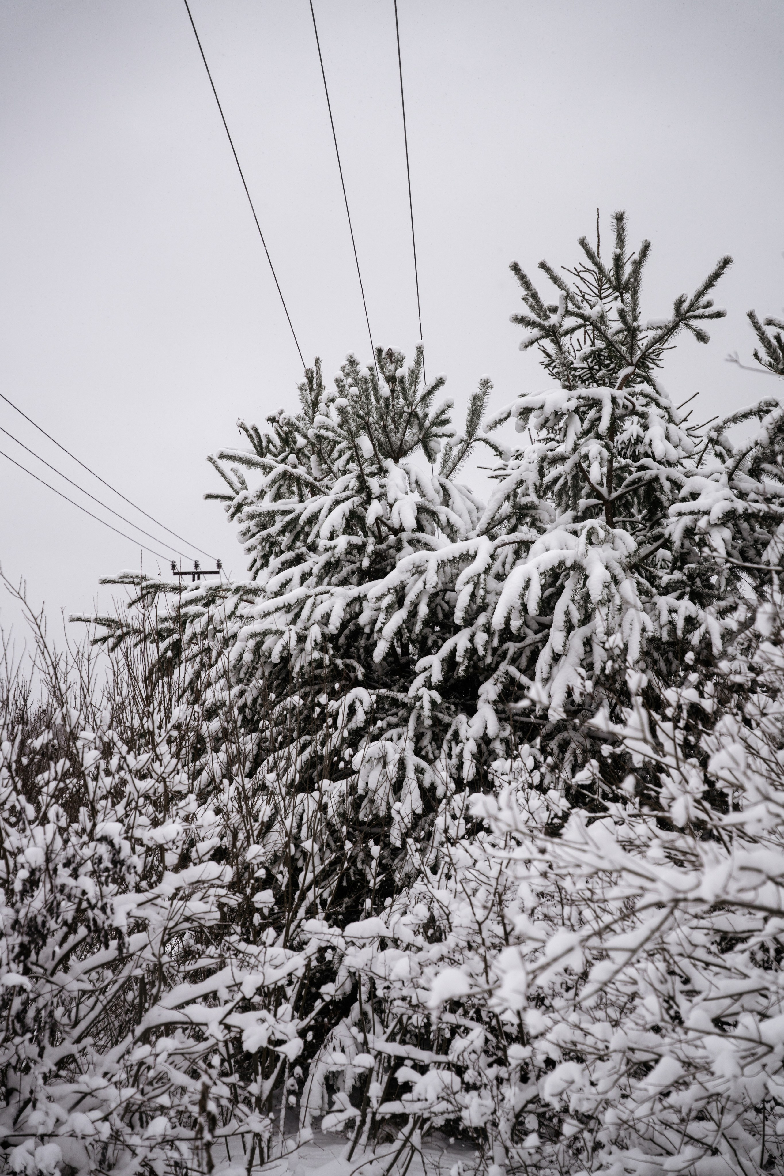 Поездка к р. Песочня и деревне Раевское. Vlad Trykov