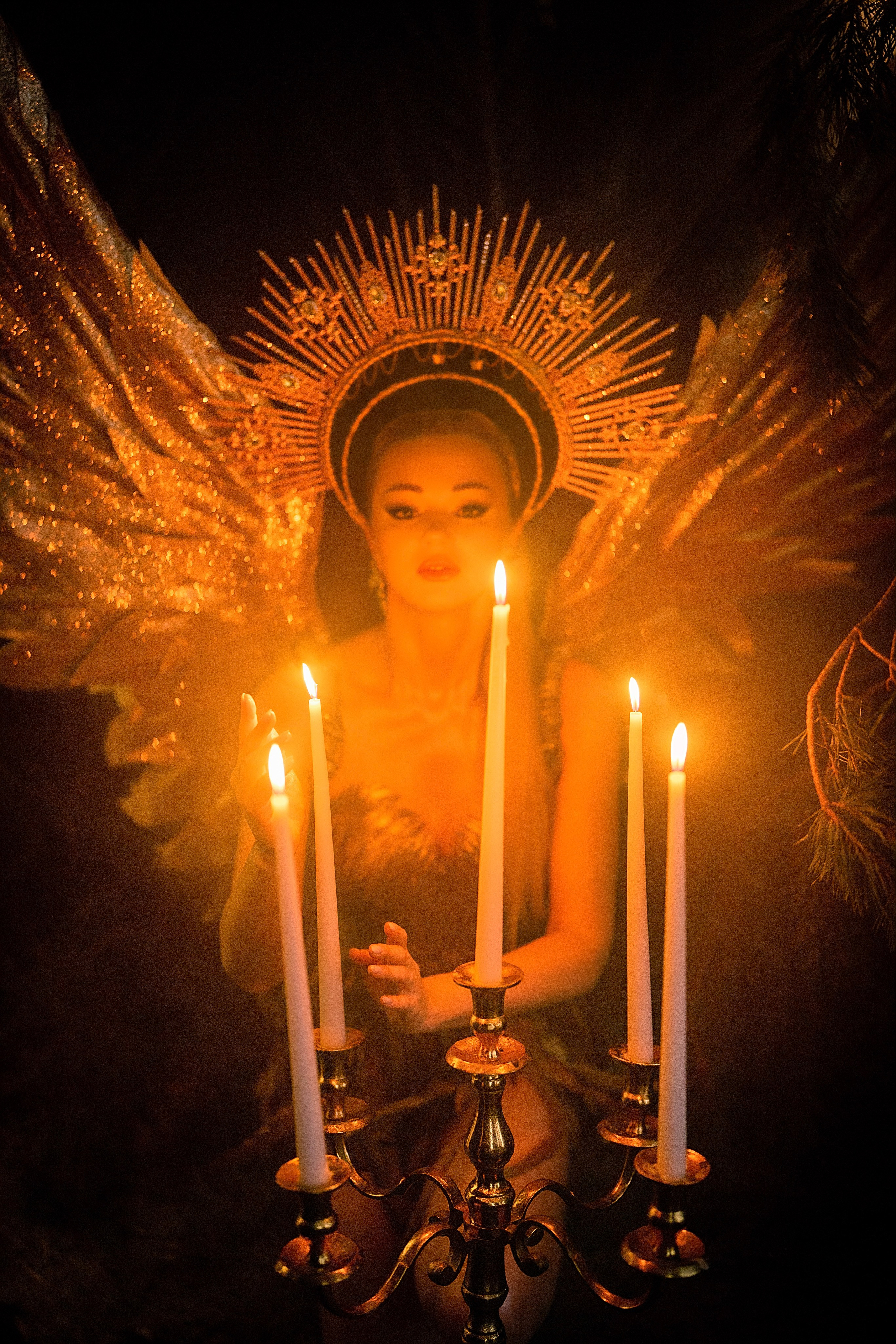 Птица-Сирин. Ваш фотограф Tetiana Kolos, найду самый удачный ракурс и словлю момент