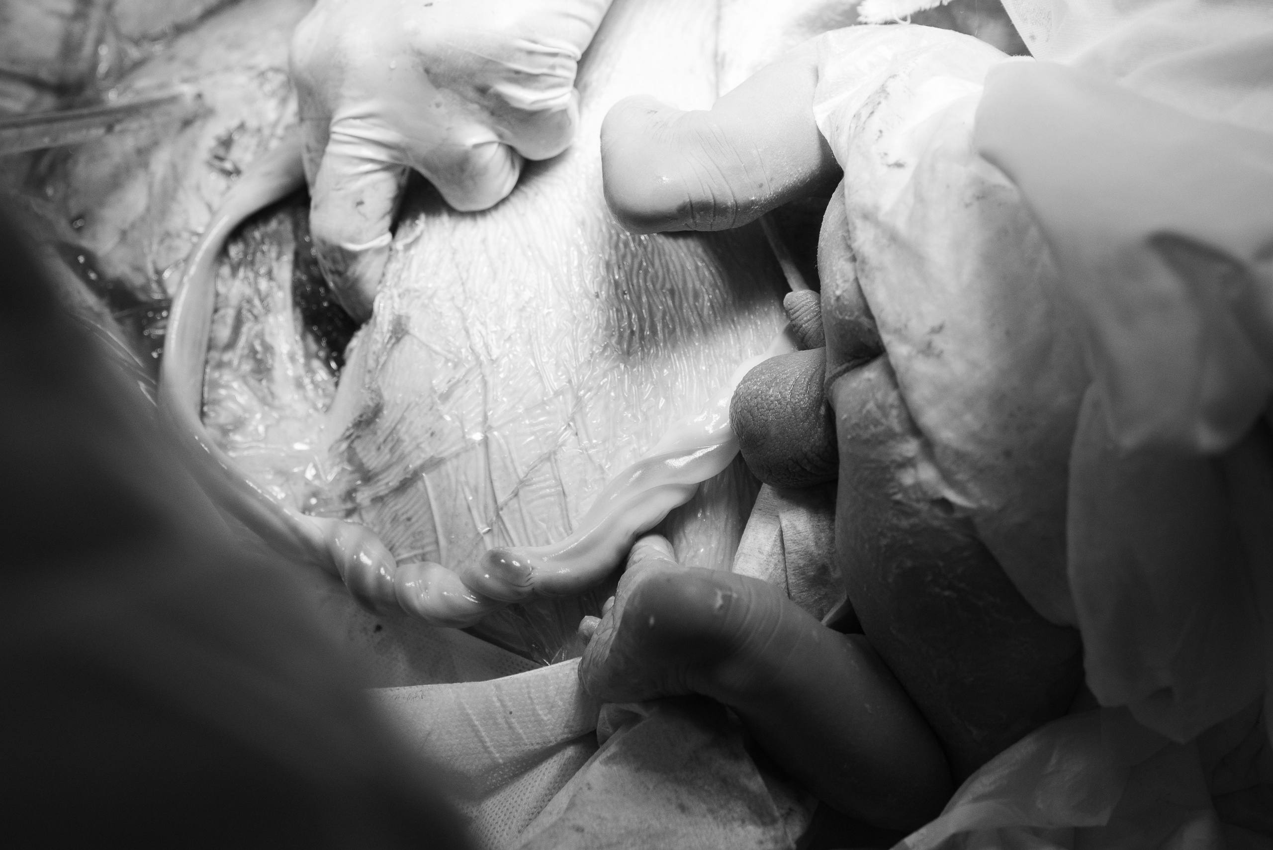 Явление. Семейный и детский фотограф в Санкт-Петербурге Татьяна Дмитренко