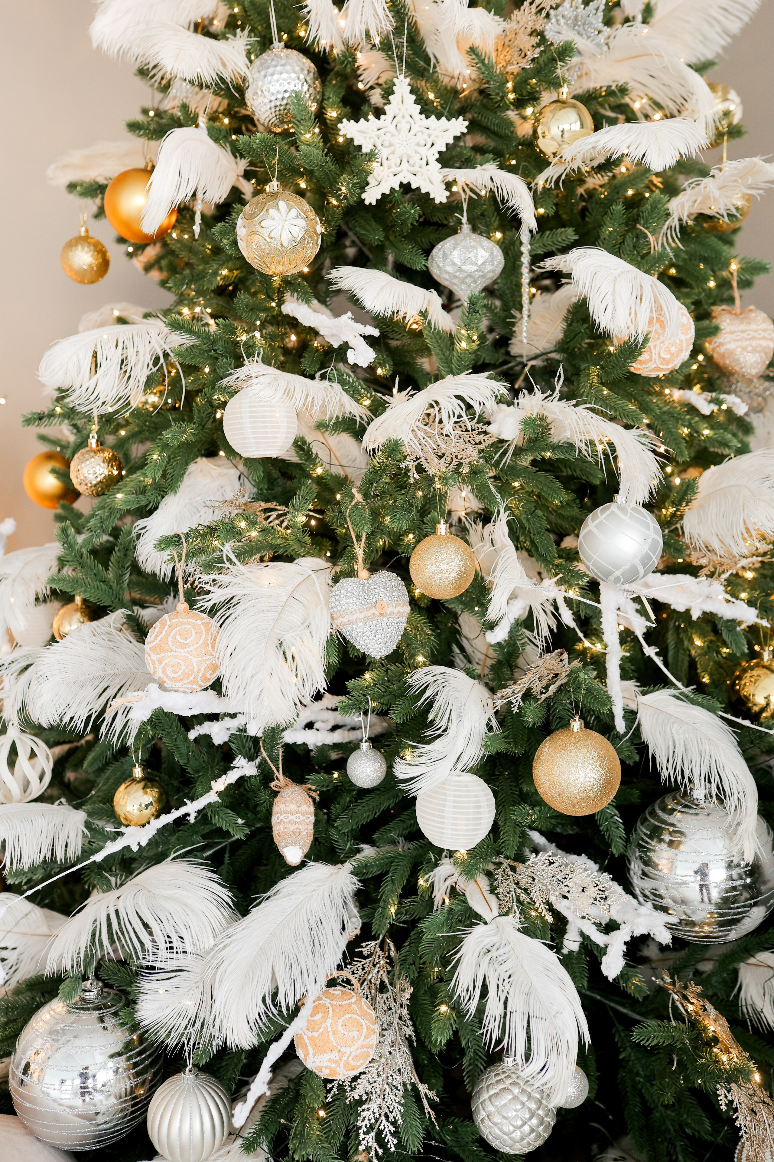 Циклорама. Фотостудия Фотодом. Якутск