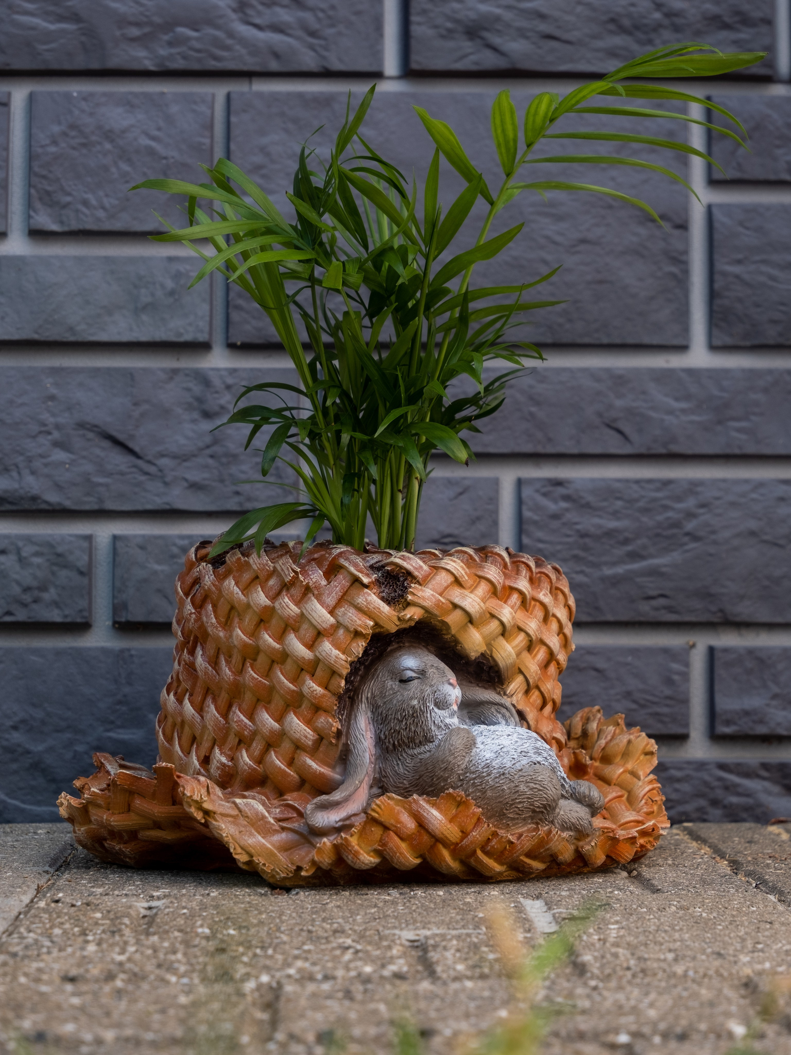 Предметная и каталожная съемка портфолио (фото)