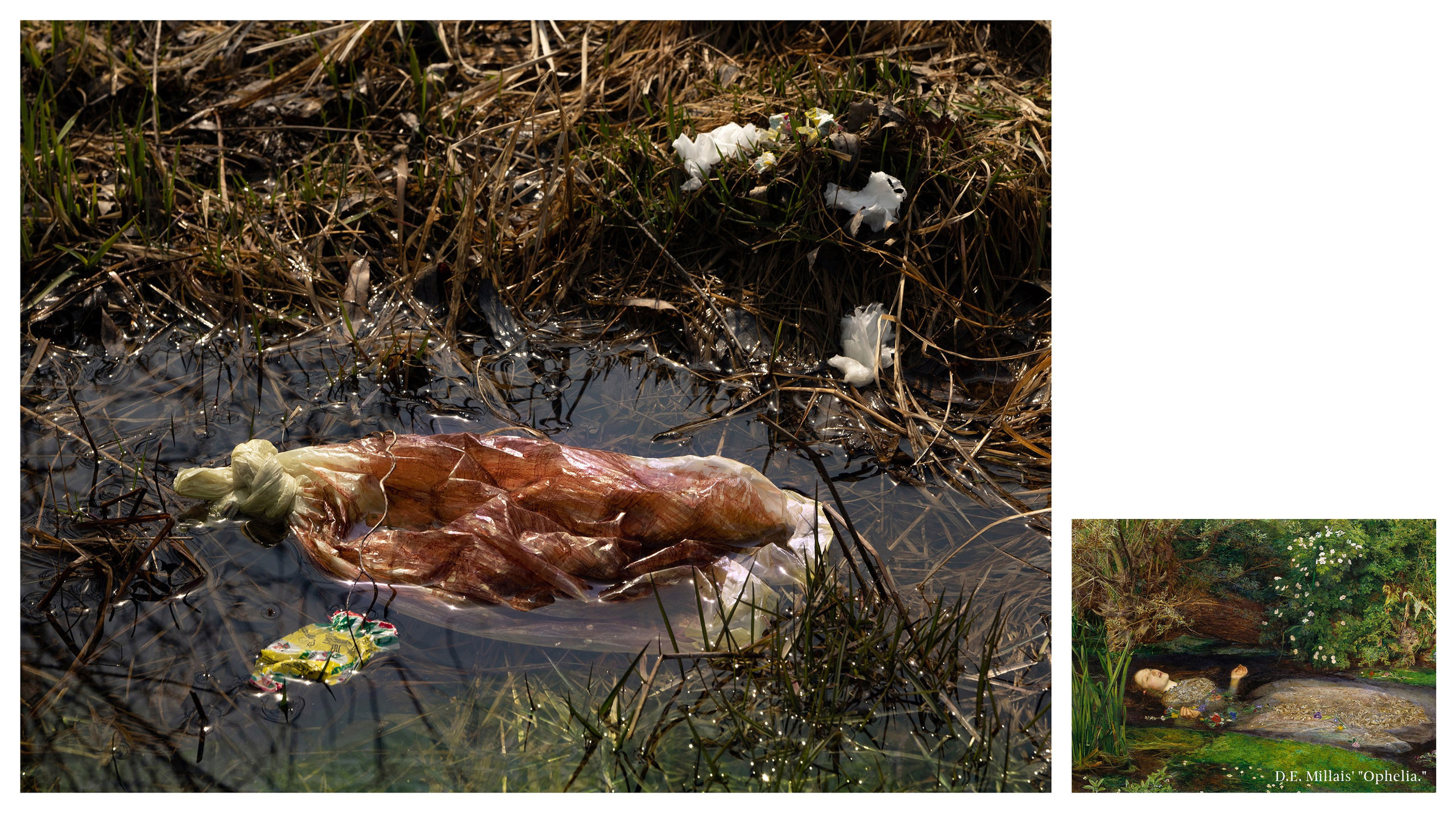 “Plastic bag as a found object” project. Art photographer Serdyuk Yulia