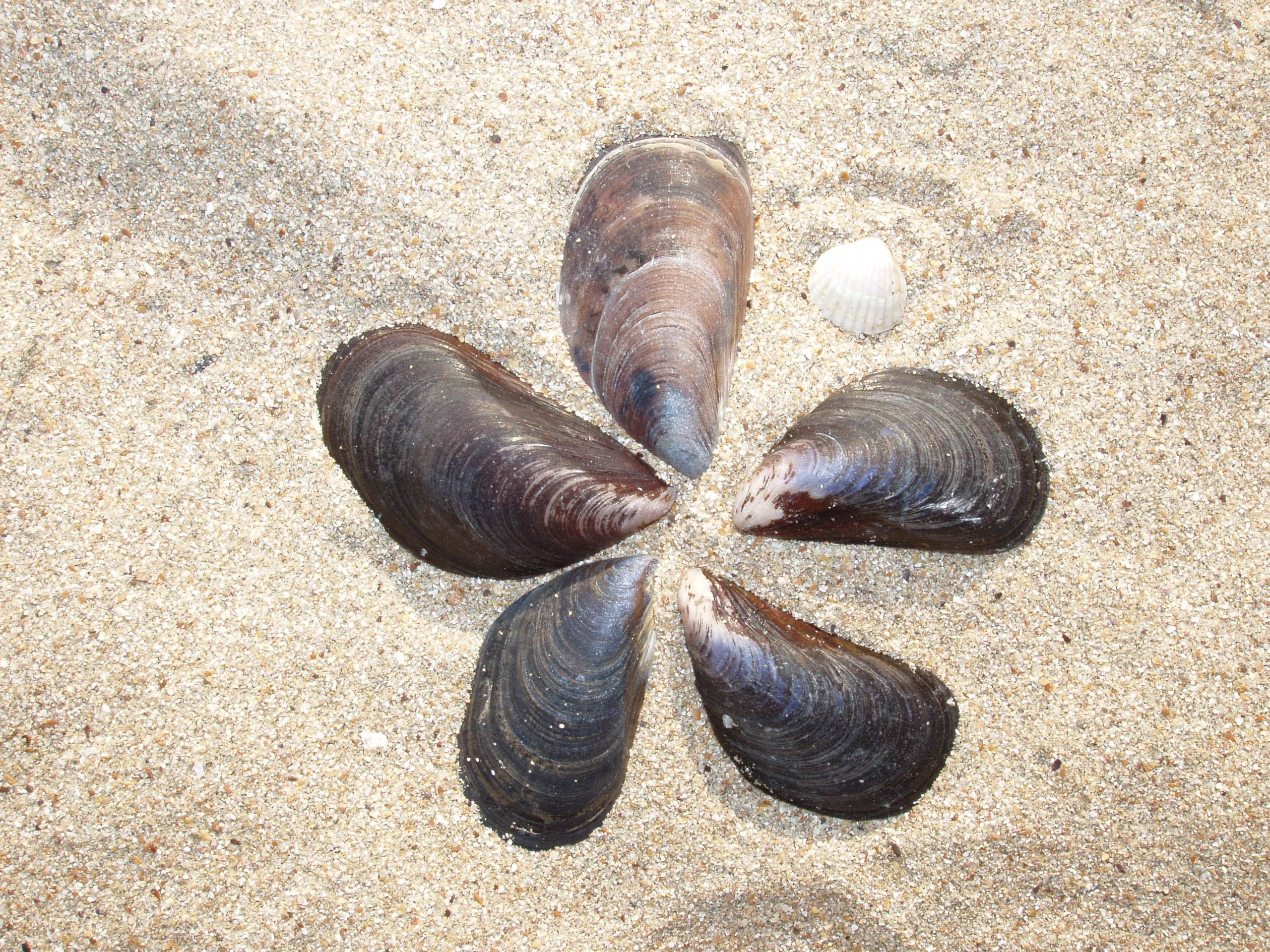 Отпуск 13.07-24.08. Семейный, Свадебный фотограф СПБ Питер— Романова Екатерина