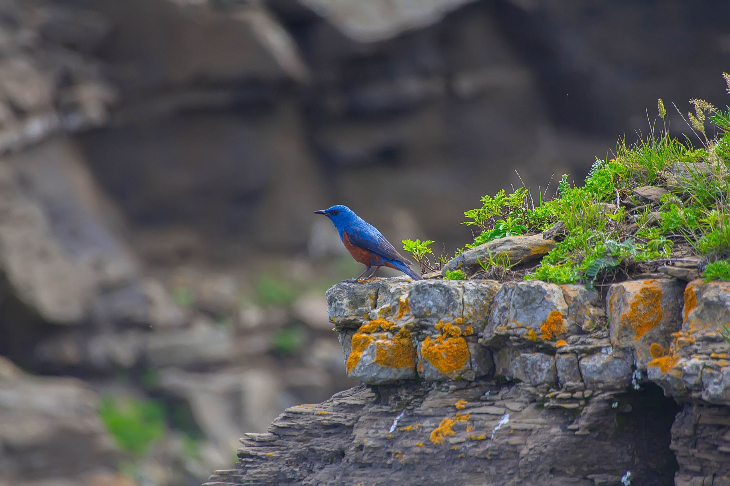 Отзывы. Иван Ефремов фотограф в городе Владивостоке