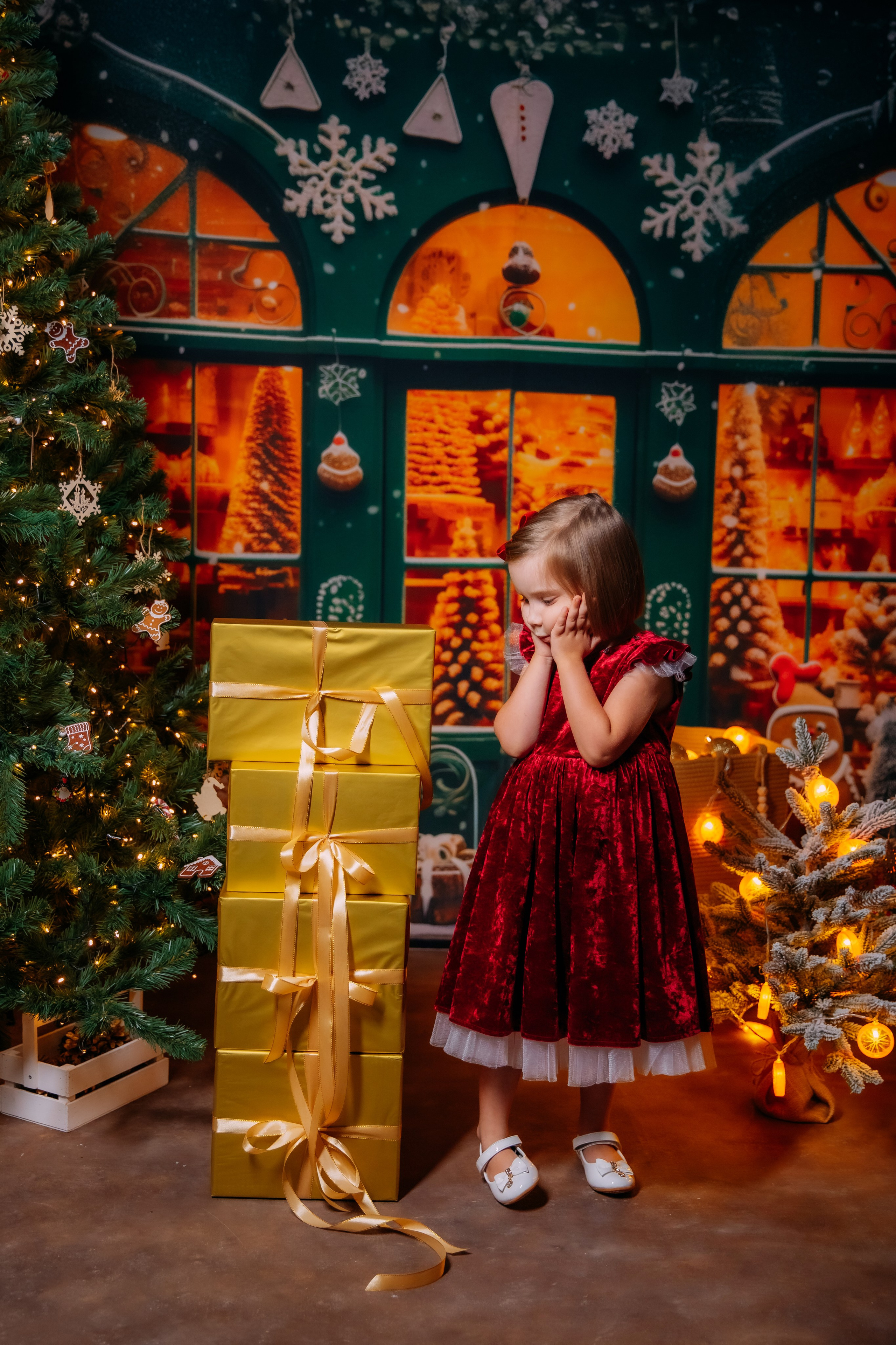 НОВЫЙ 2025 ГОД. Женский и семейный фотограф Елена Петрова
