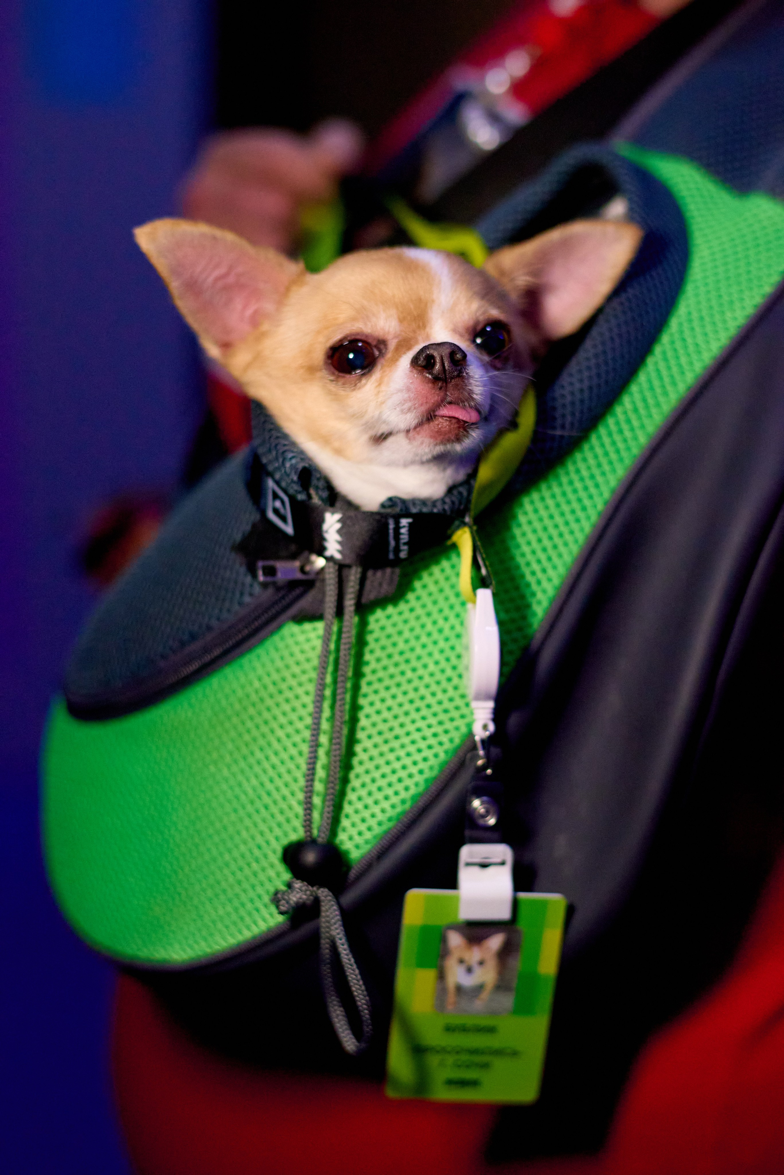 КиВиН-2025. #спецкорНвер