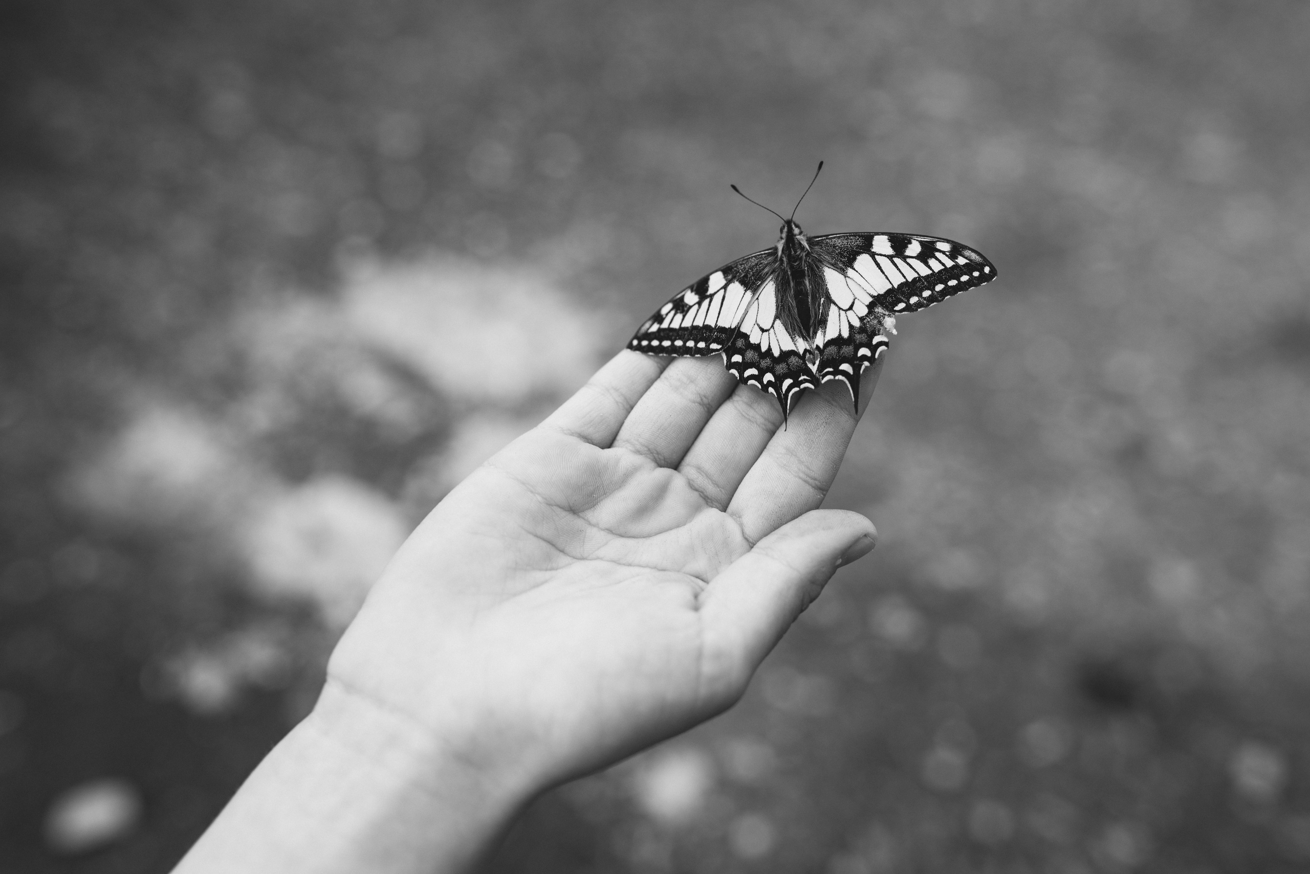 ДУША. Семейный и newborn фотограф в Уфе Елена Сакурова