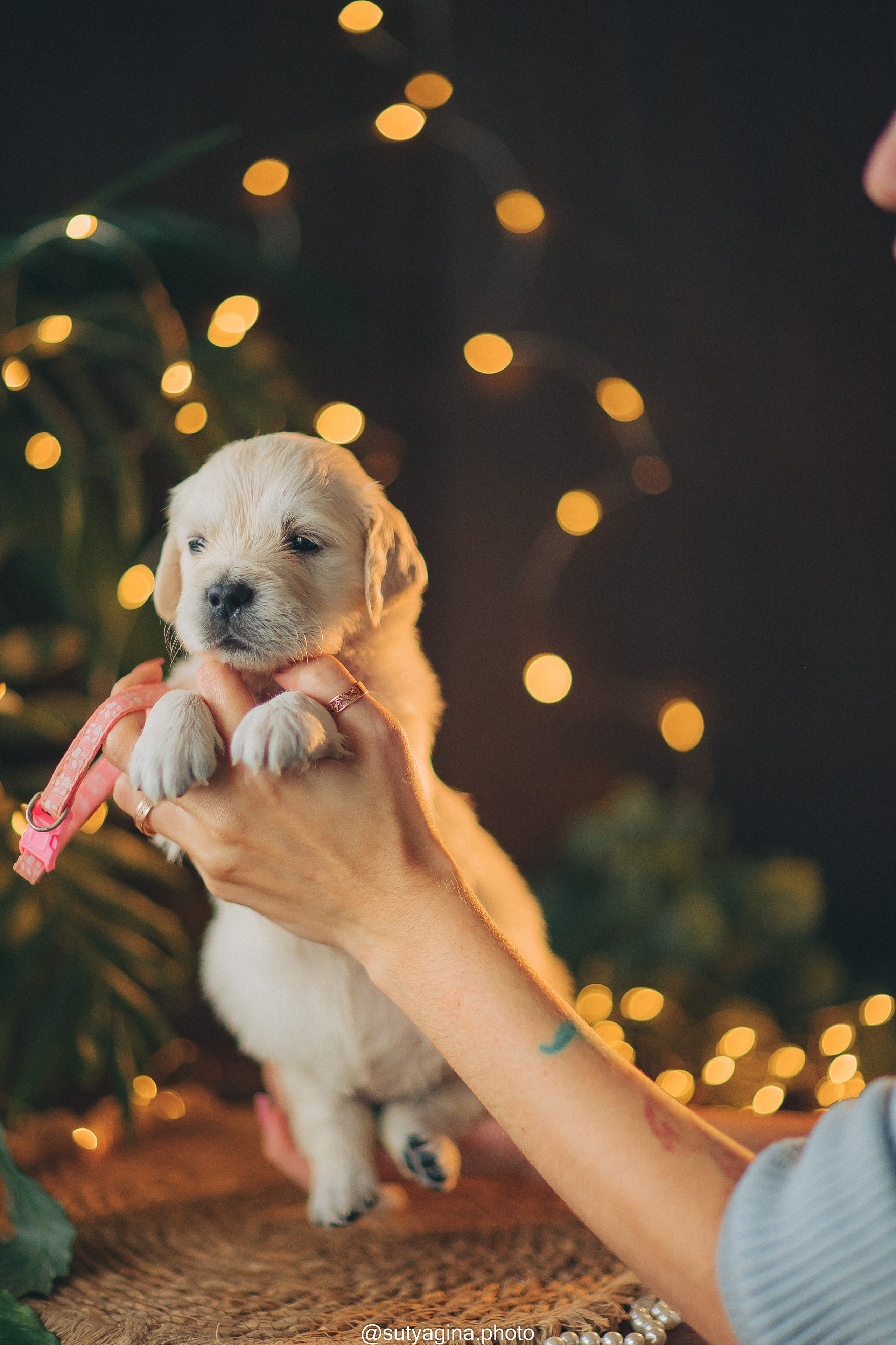 Белая лента. Свадебный и женский фотограф
