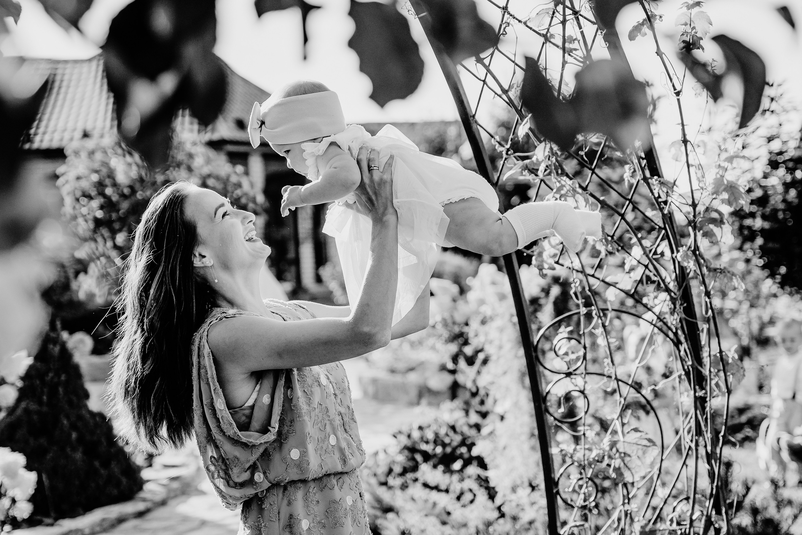 Первая семейная фисташка