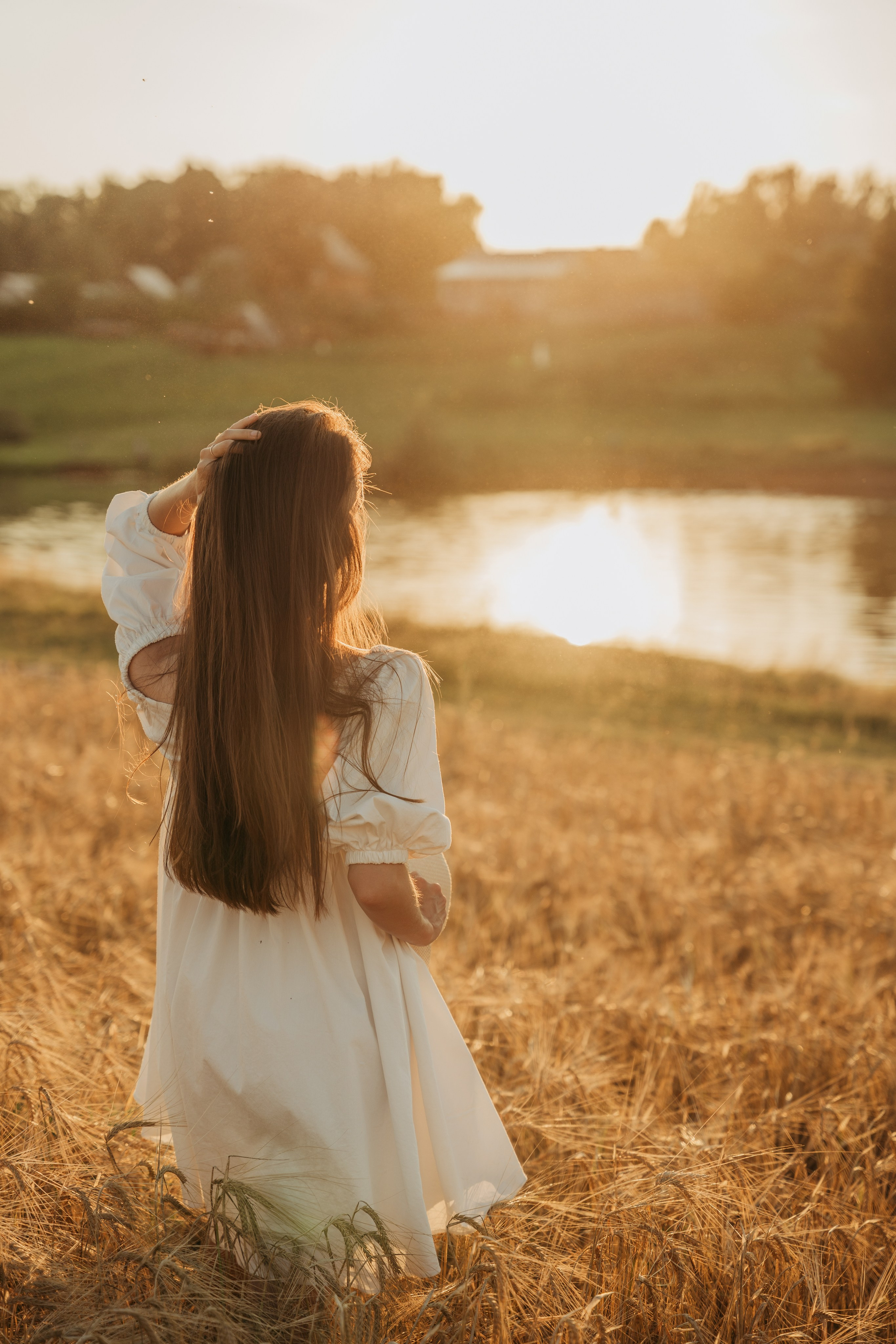 Солнце.Закат.Поле