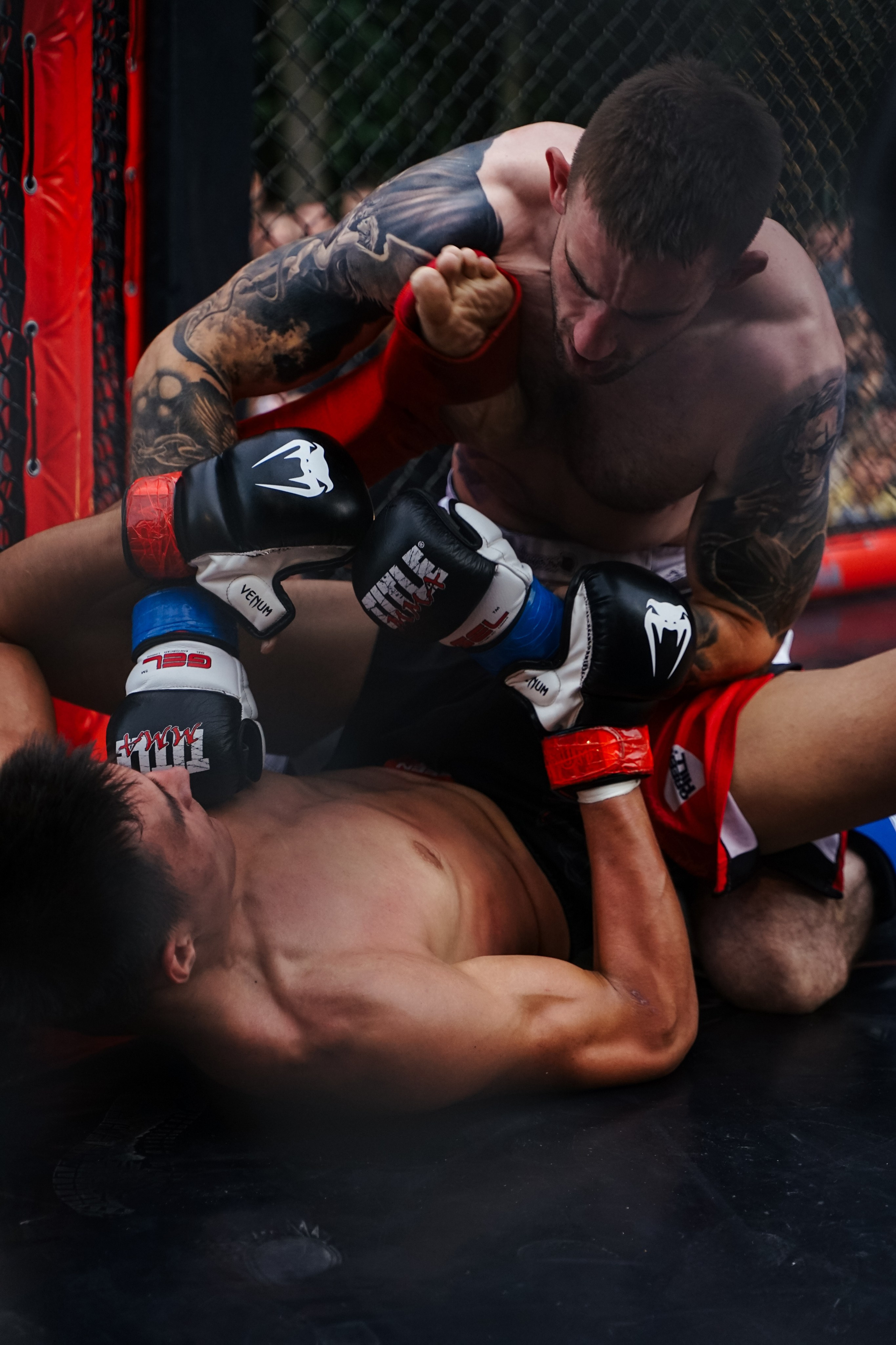 Вечер боев в ЦПКиО. Фотограф Надежда Погребняк | Рязань | Москва