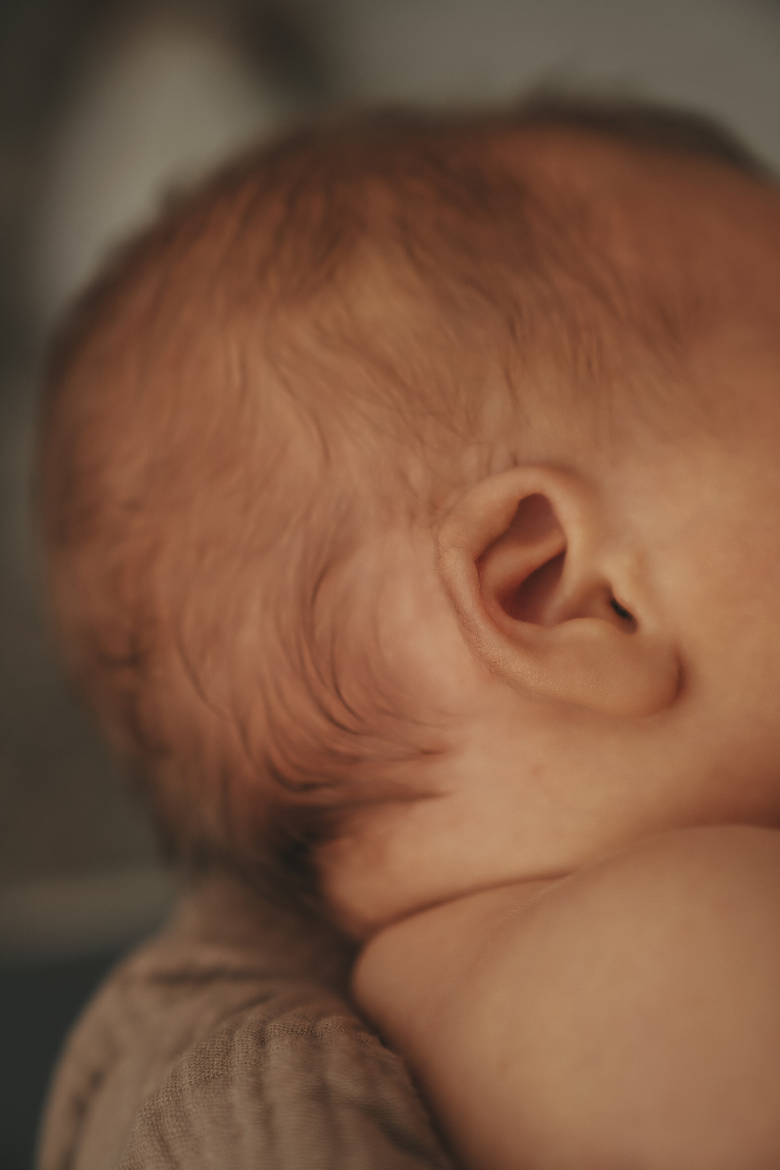 Иван, Мария, Илюша и Майло. Семейный и детский фотограф Плесецк, Мирный Марина Забабурина