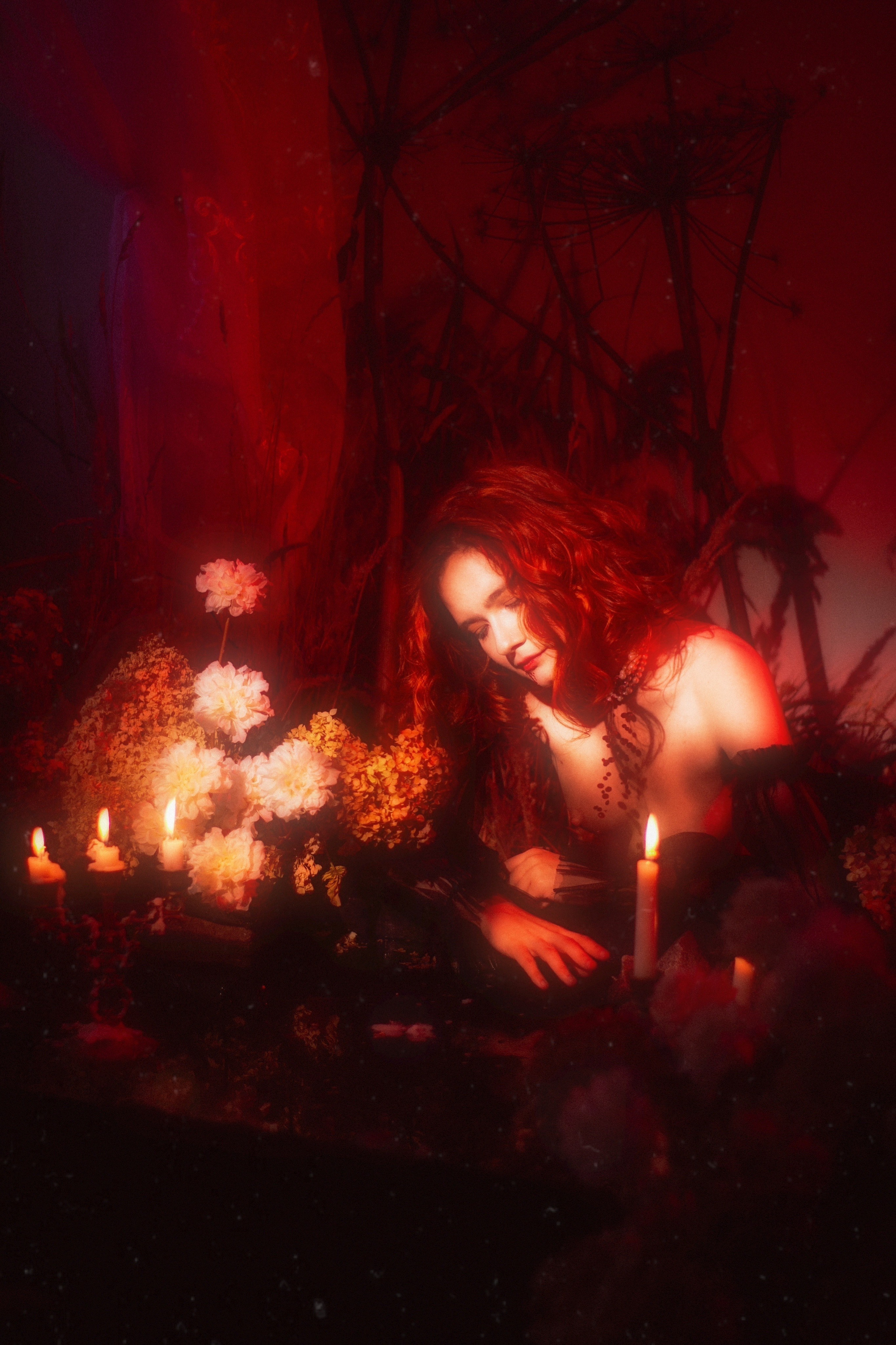 Noblesse vampire (Original), Санкт-Петербург 2024. Фотограф NotSilver