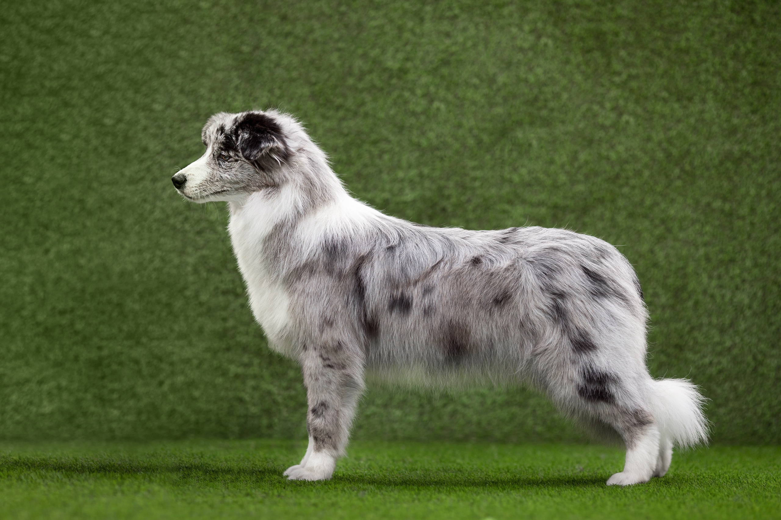 Роскошь в ростошах. О нас