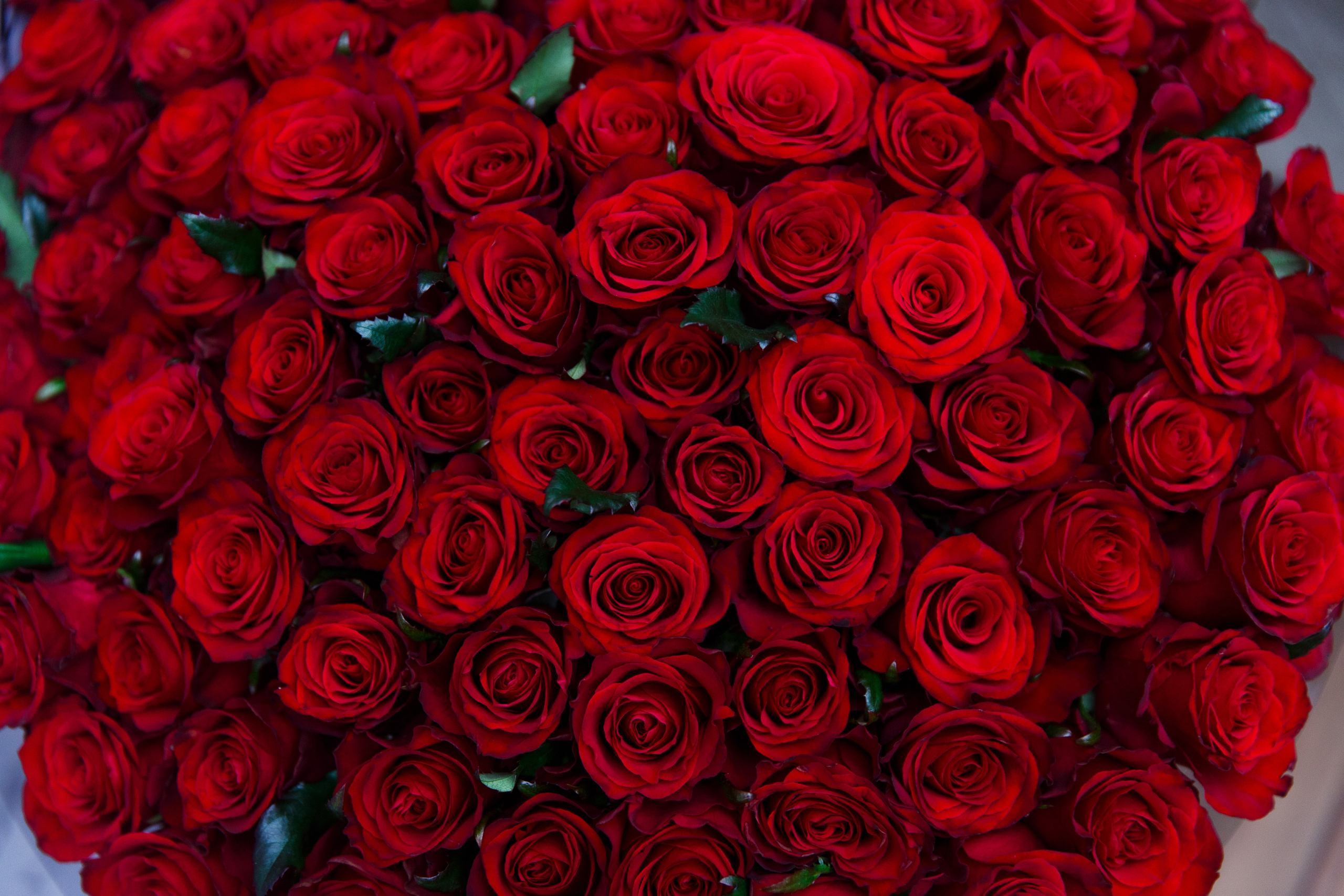 2. Фотограф Недорез Александр в Москве. Репортаж на ваших мероприятиях